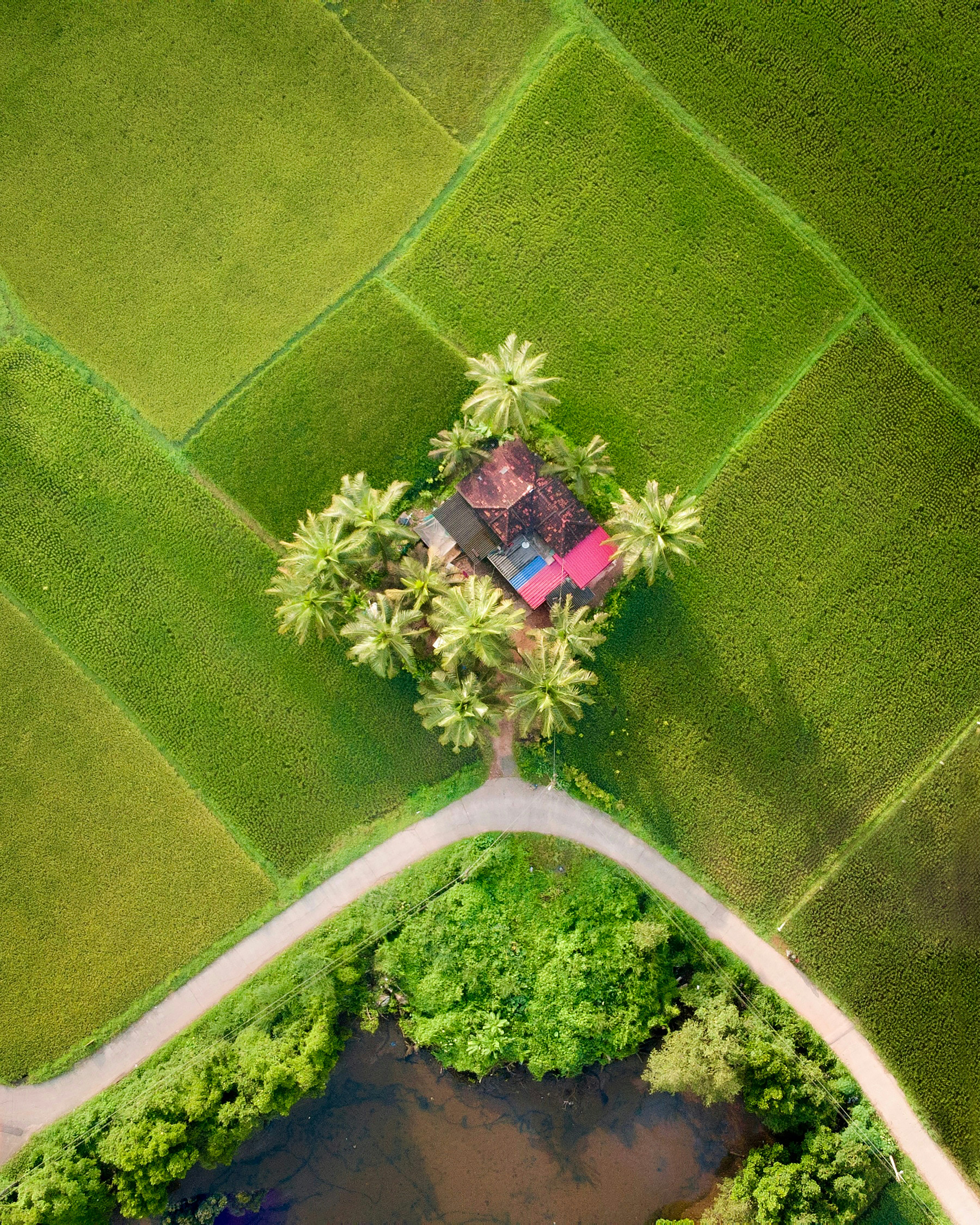 Photo by manasmanikoth