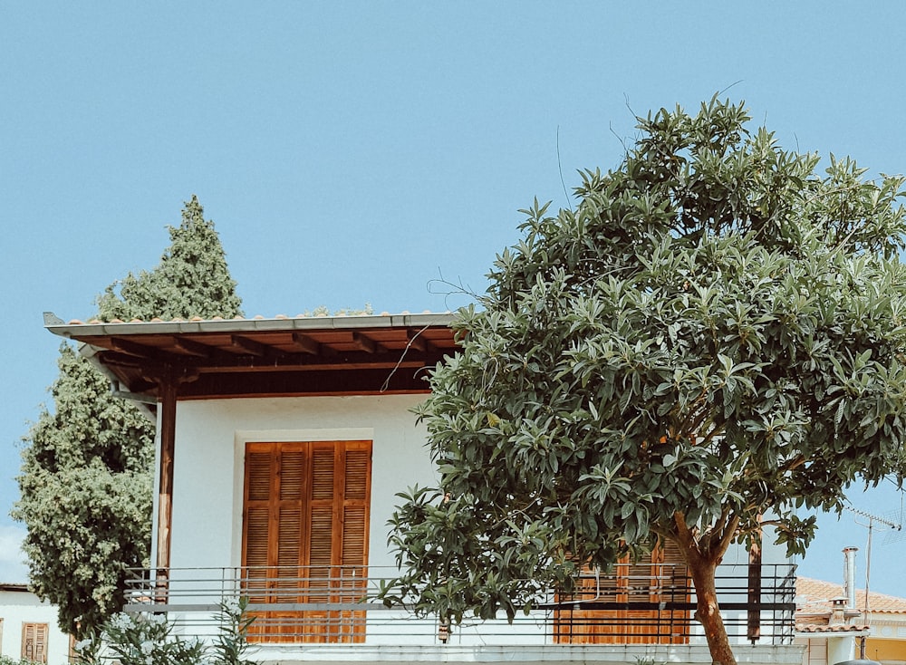 a house with trees in the front