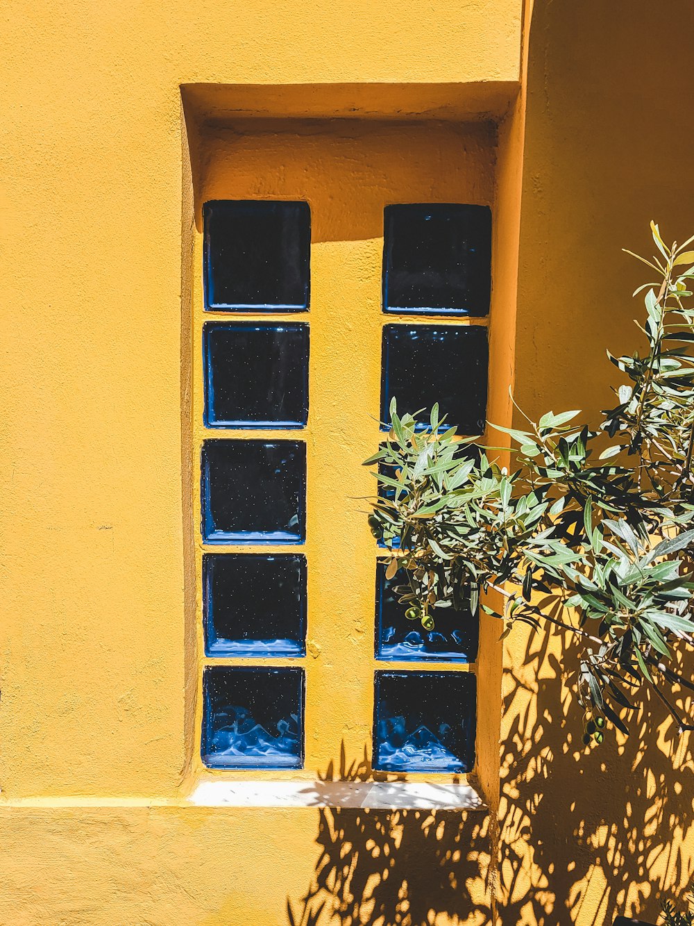 a window with a blue and white design