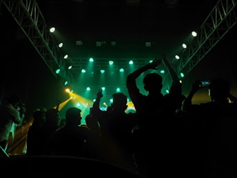 a crowd of people at a concert