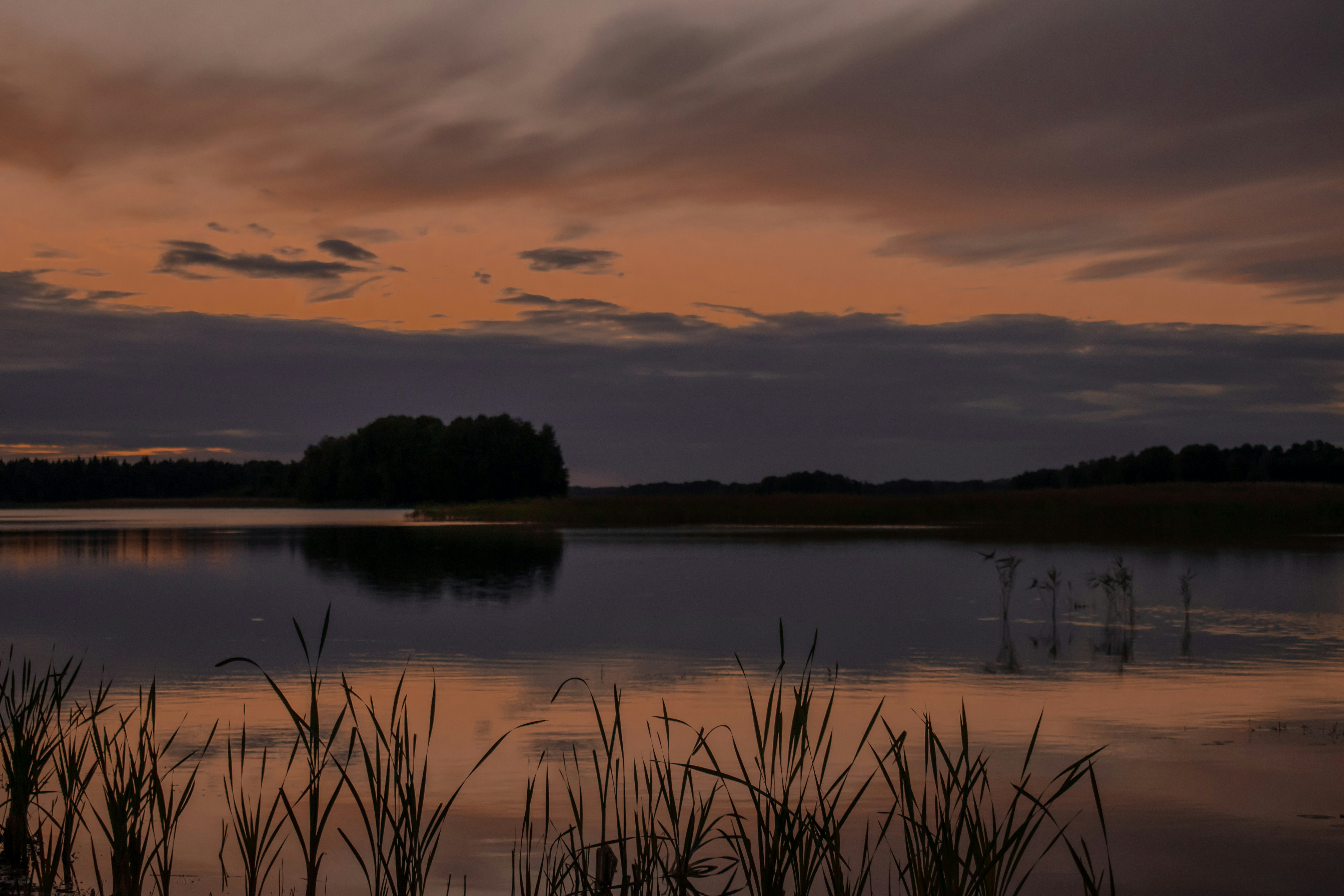 Photo by vierravincent