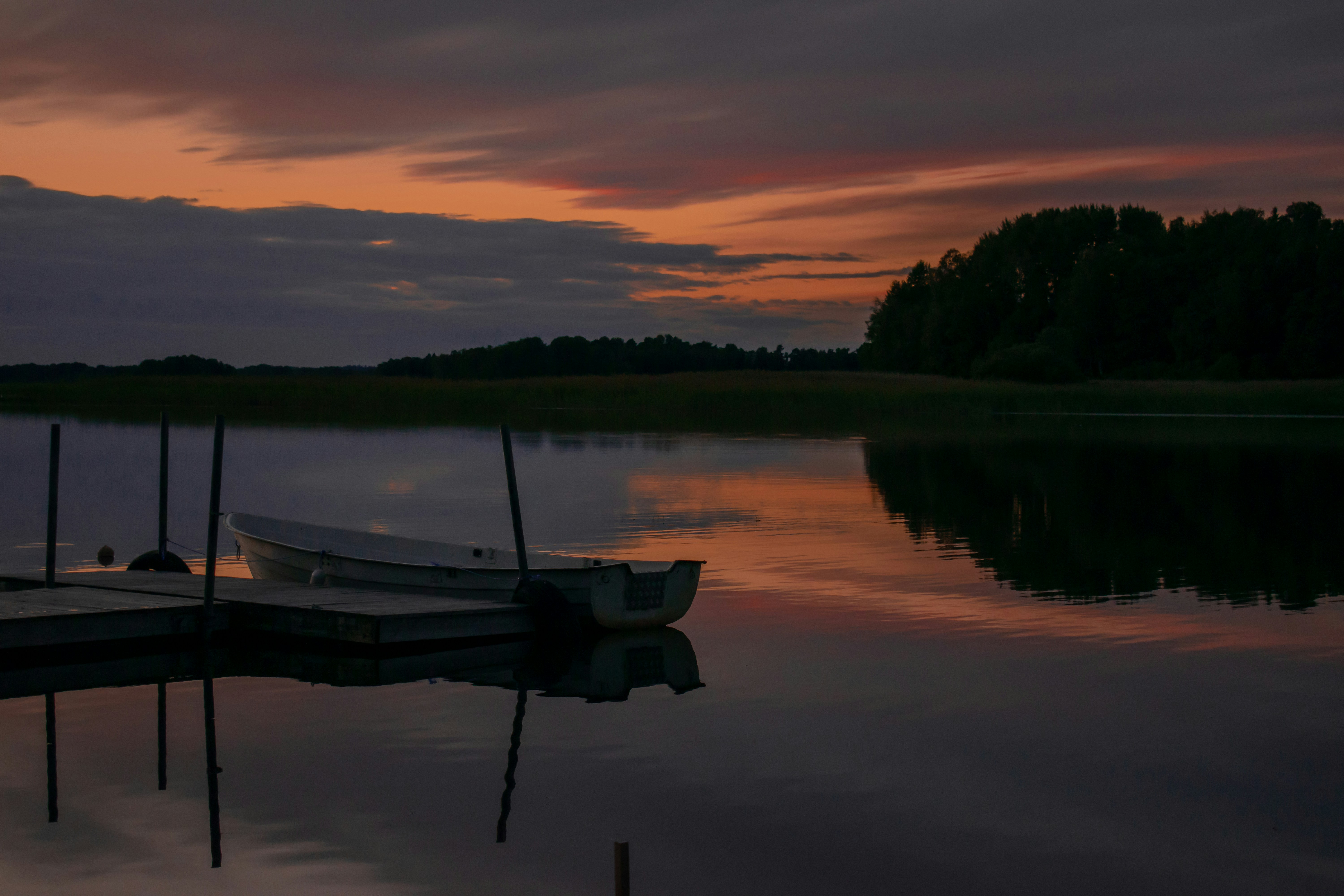 Photo by vierravincent