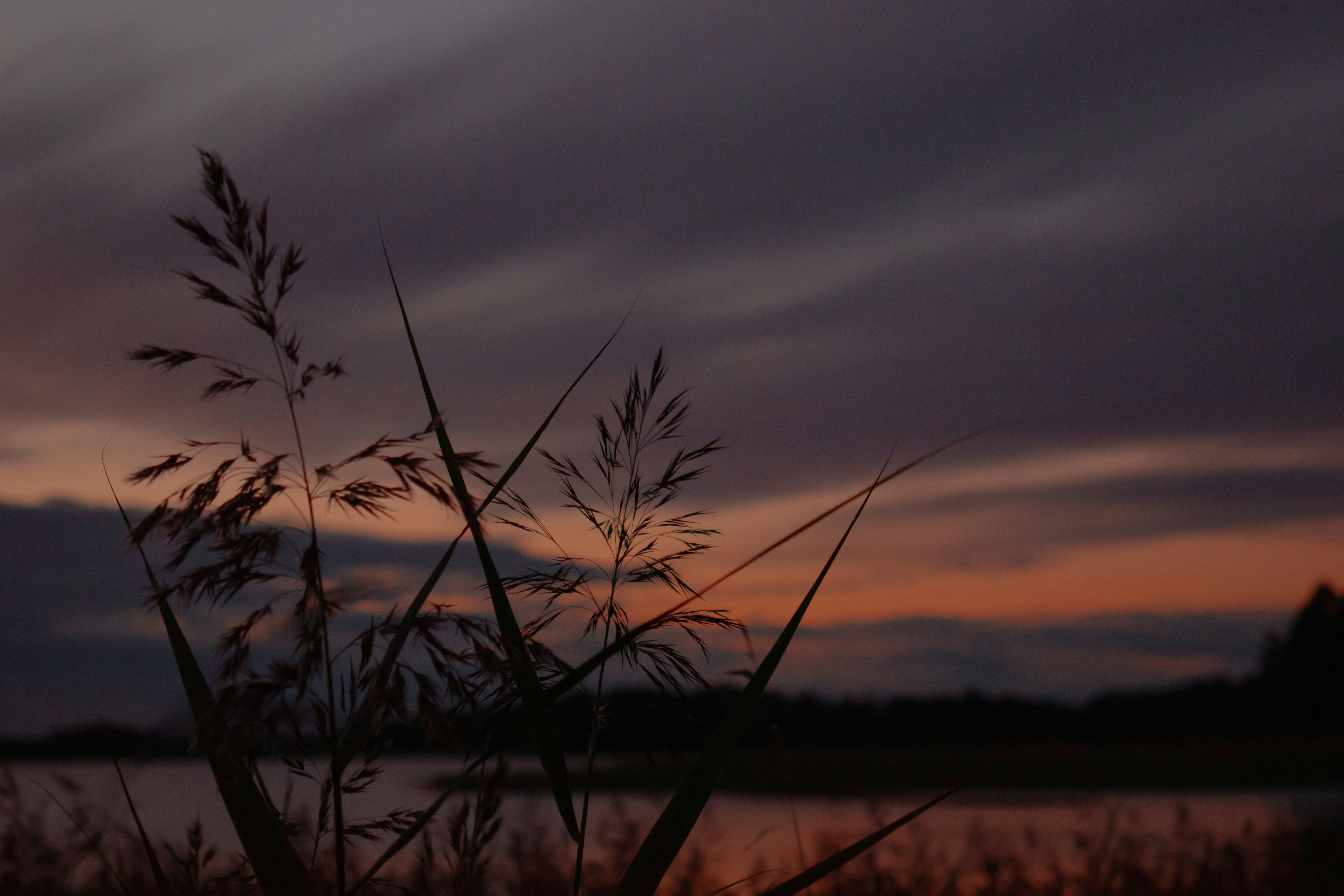 Photo by vierravincent