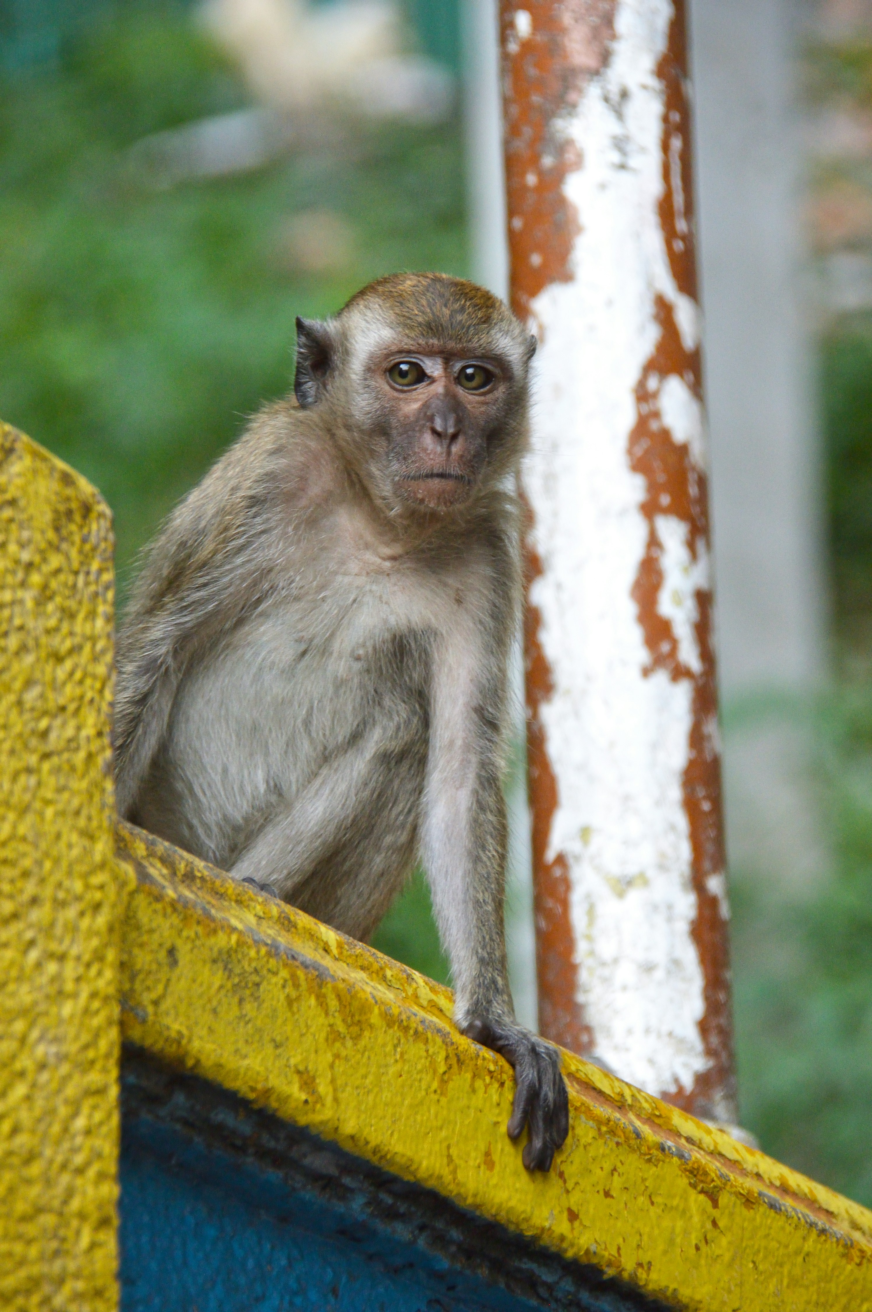 Photo by sreeji