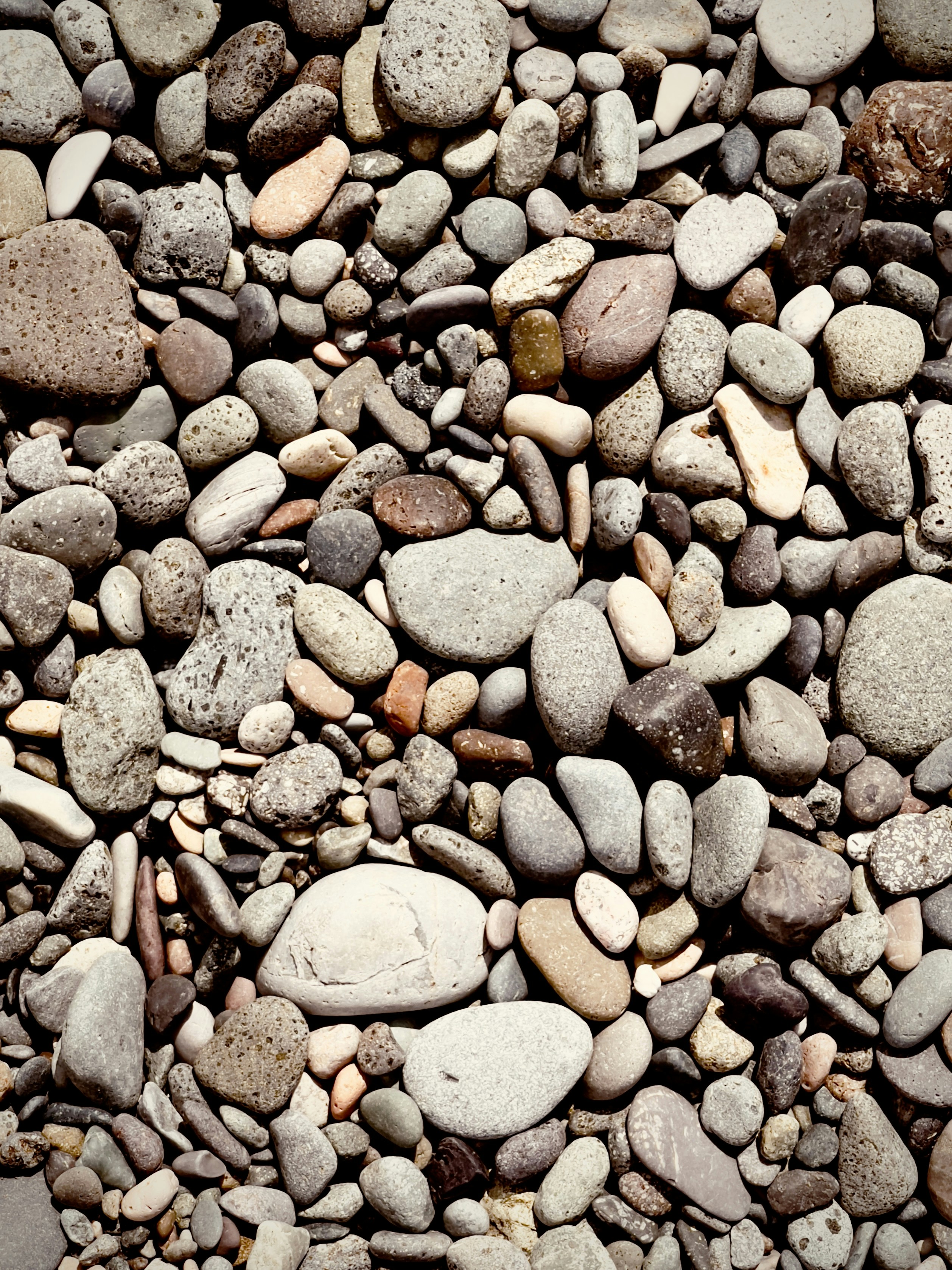 Photo by trane_drawley