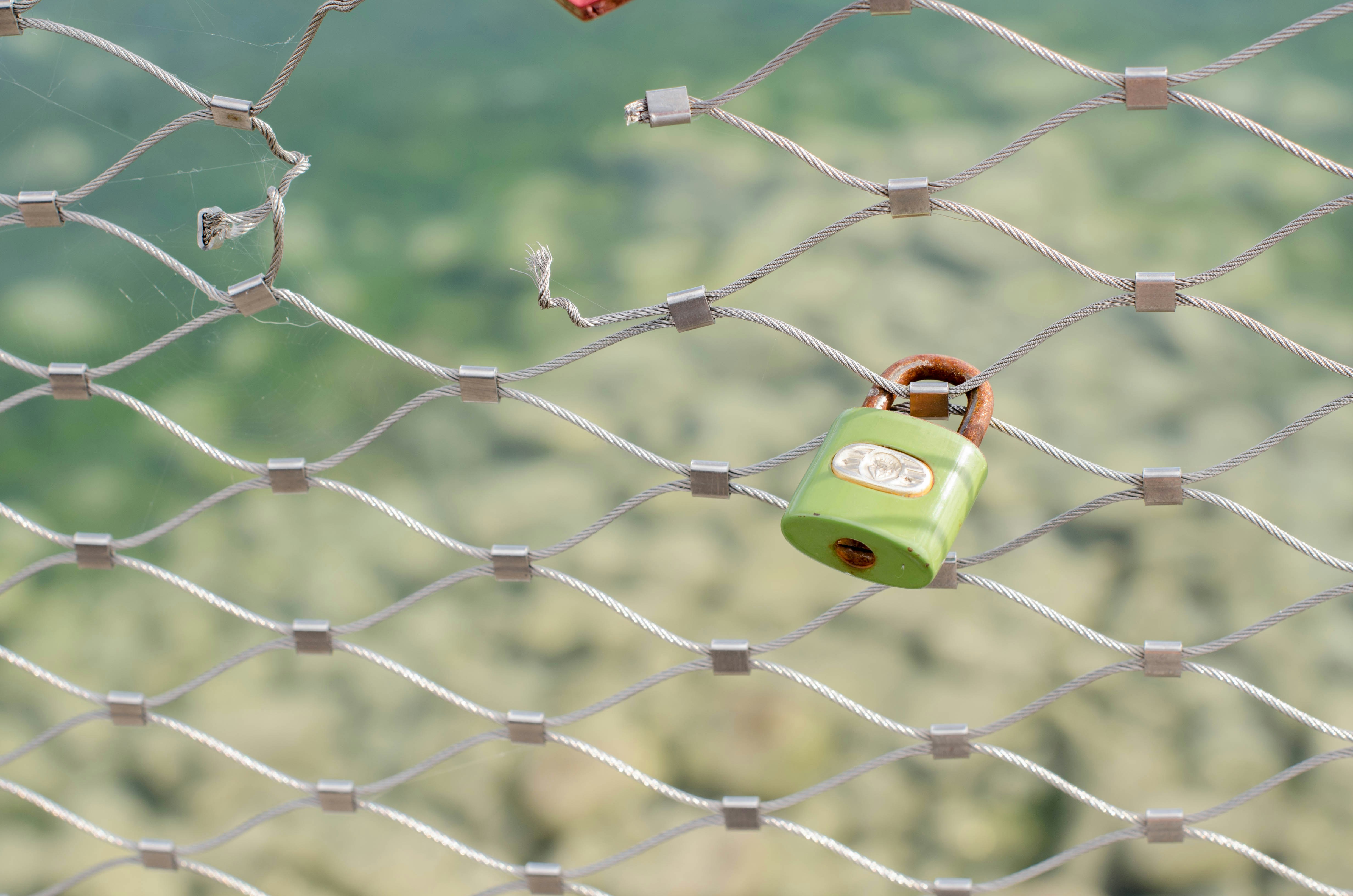 a close-up of a green leaf