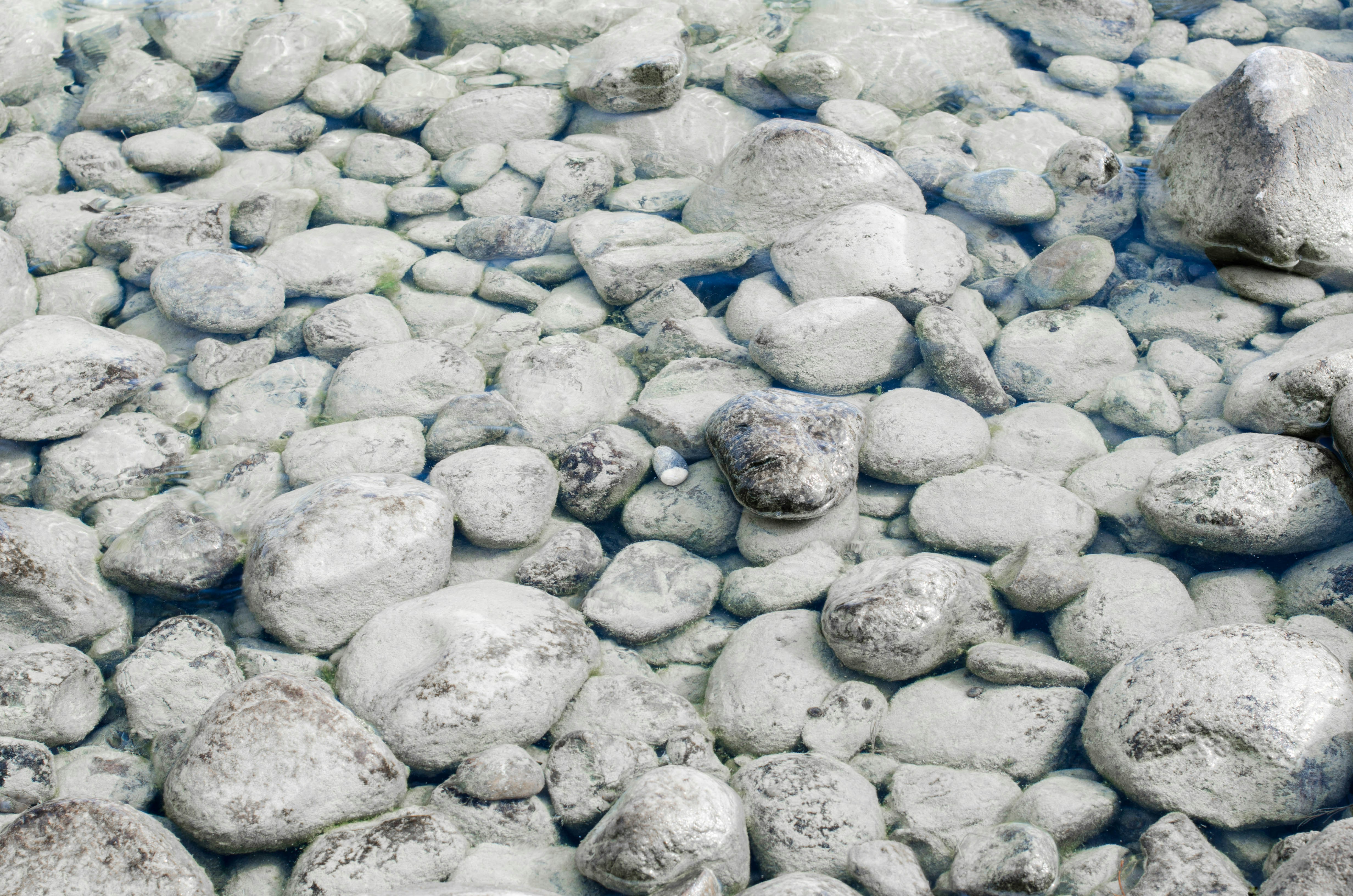 Photo by nika_benedictova