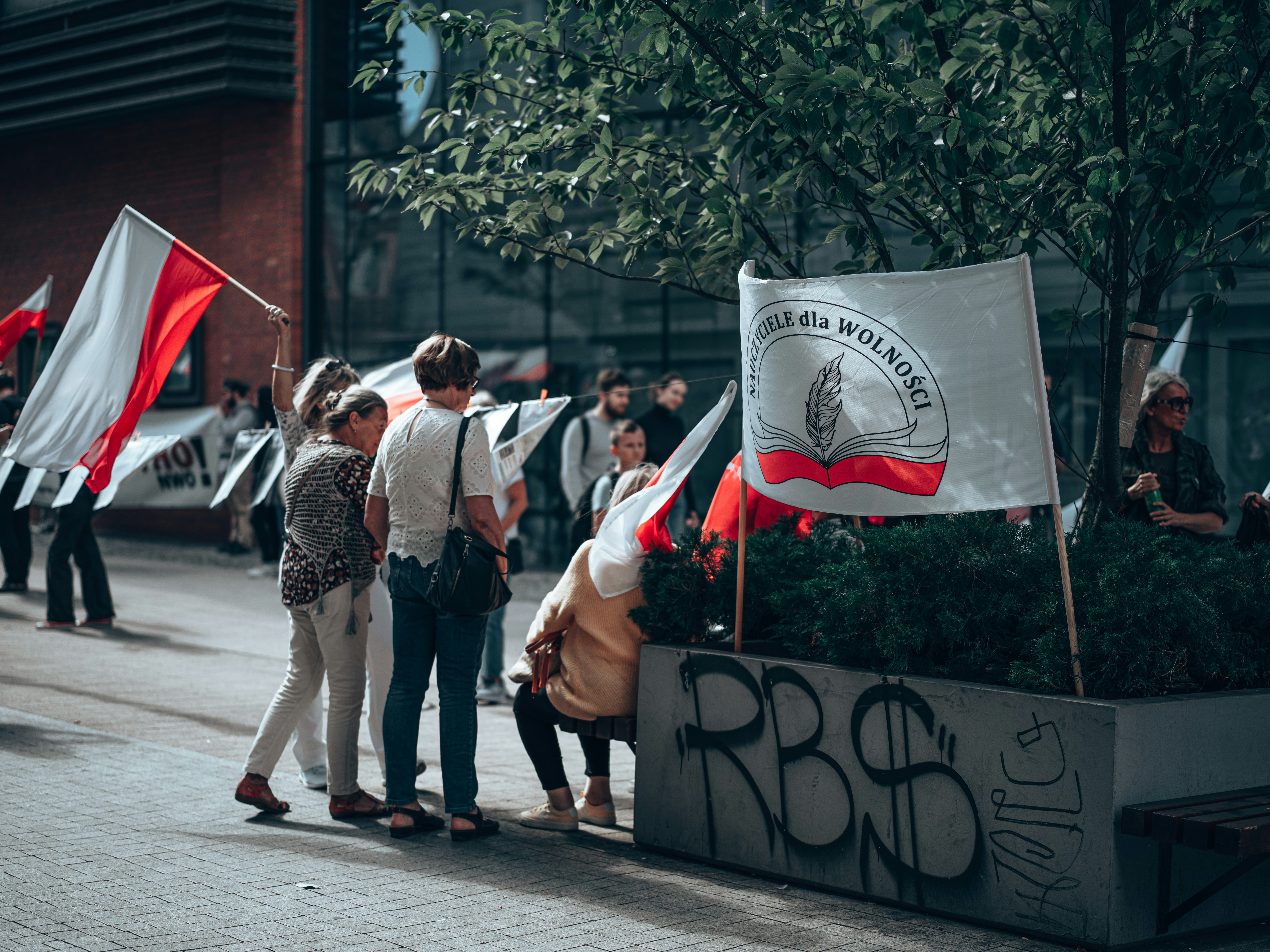 a group of people holding flags