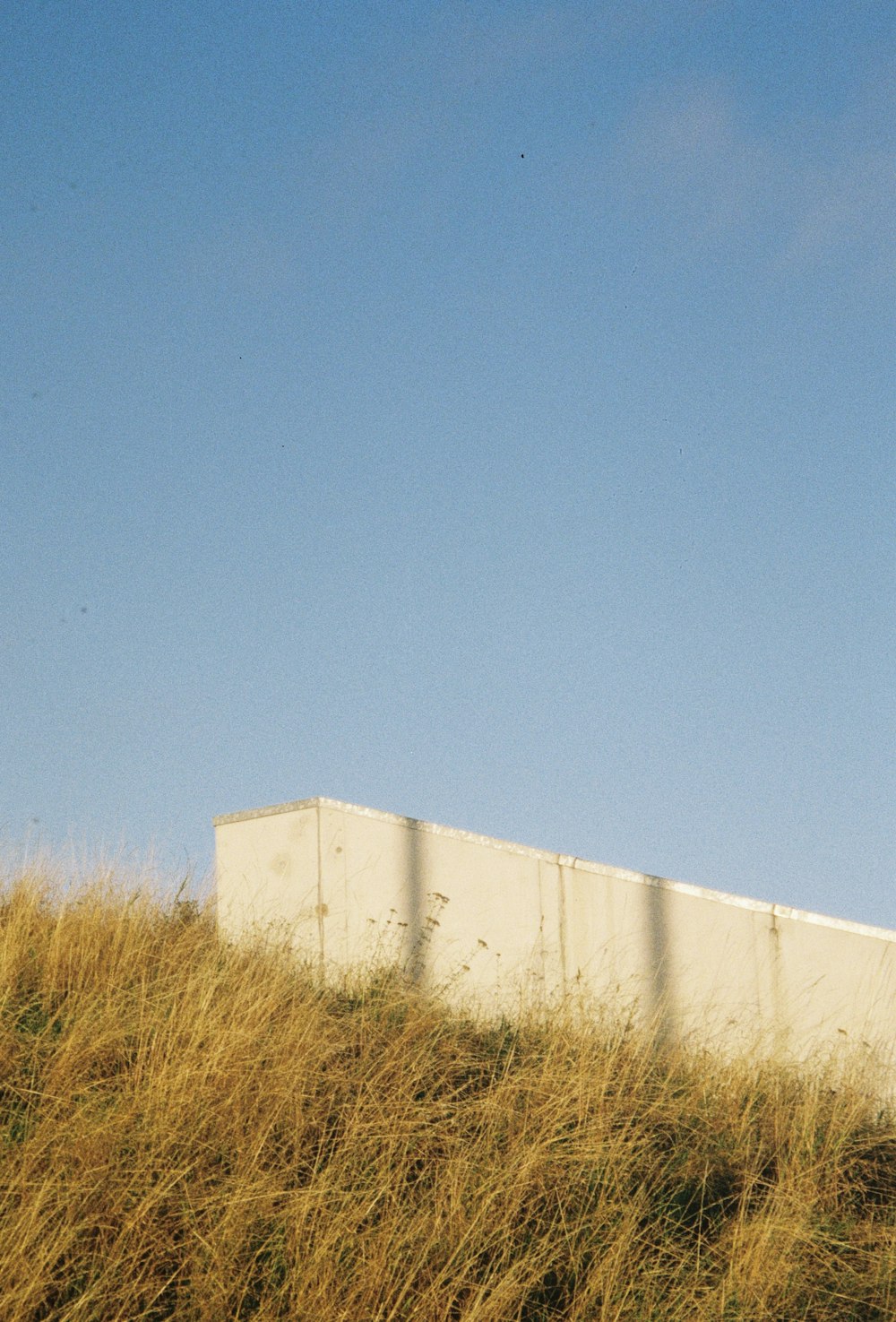 a close up of a dry grass field