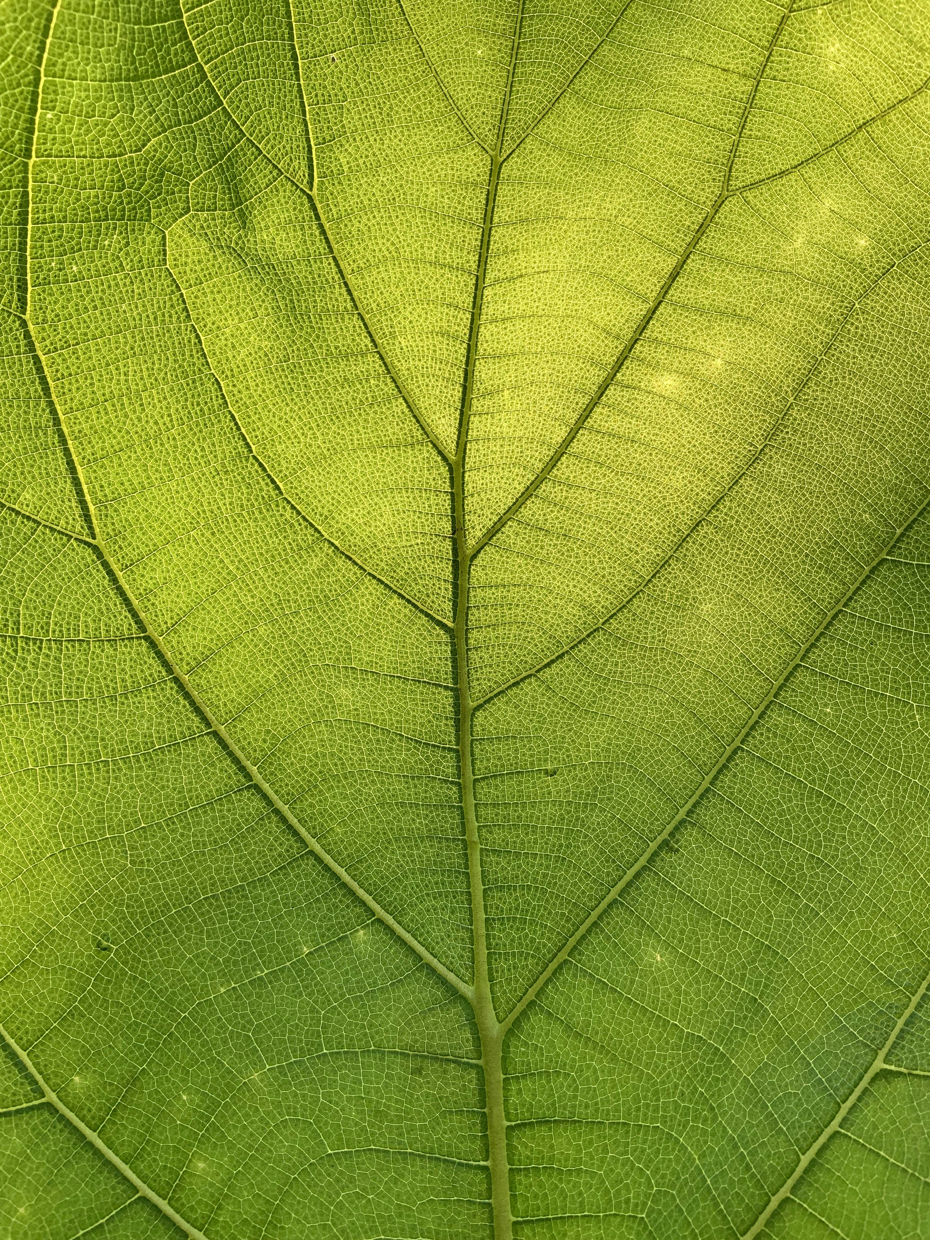 Rate Limiting Algorithms: Beyond Token Buckets