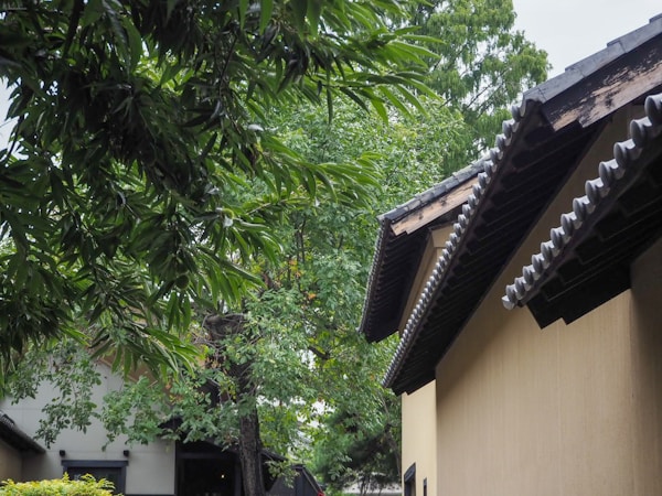 Best Times to Visit Obuse: Weather, Seasons & Ideal Months