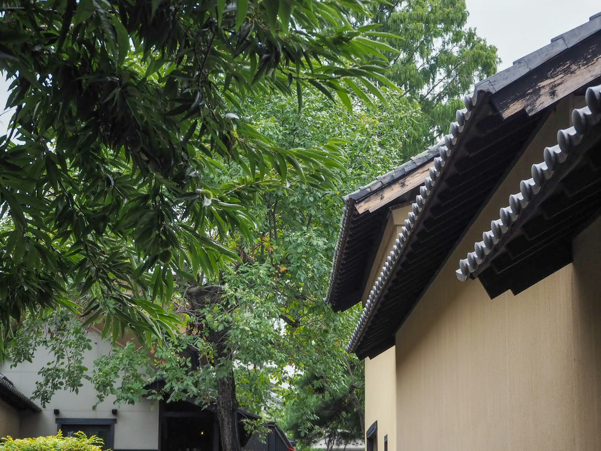 What to See in Obuse: A Local Travel Guide