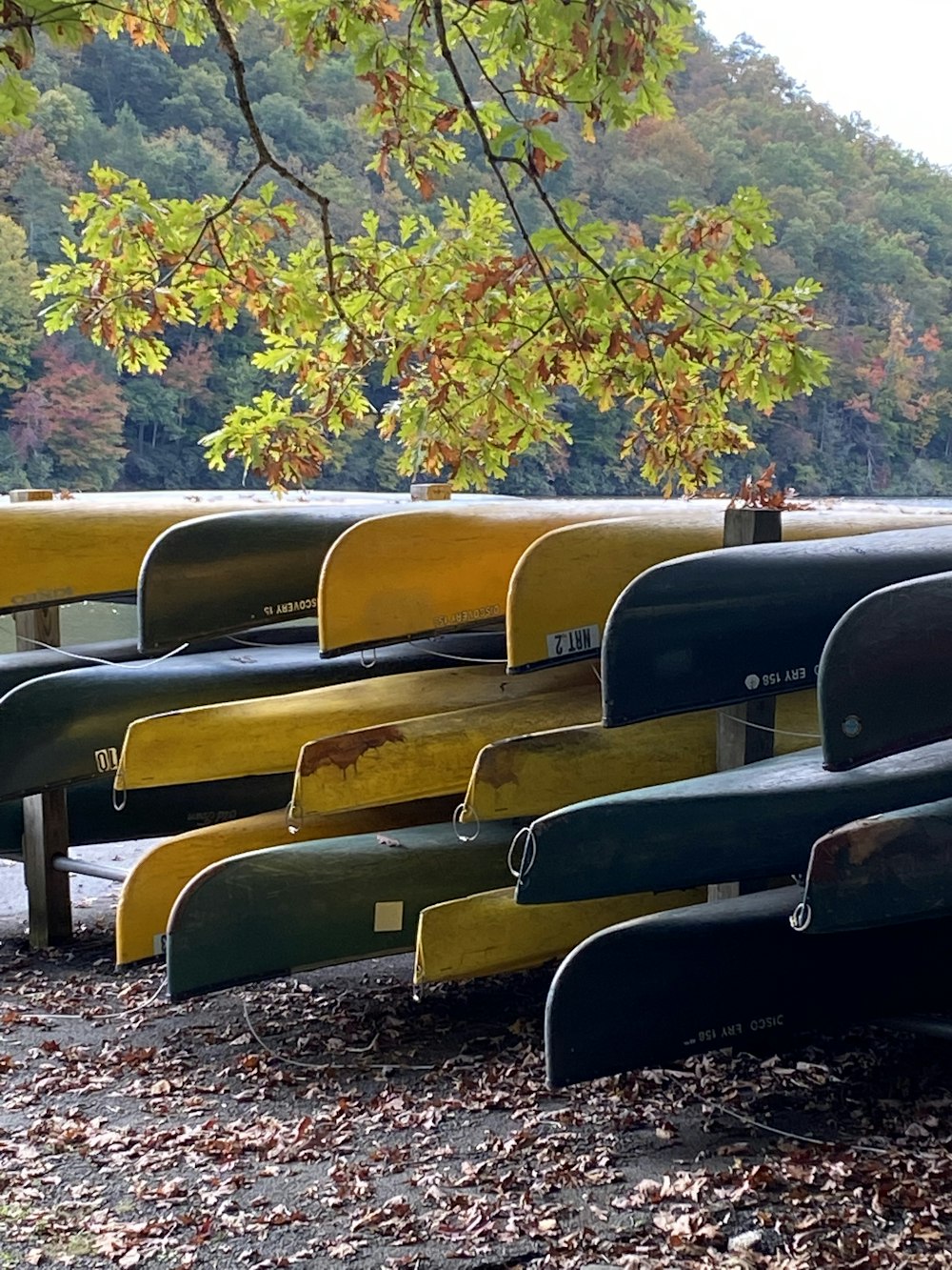 a row of yellow boats