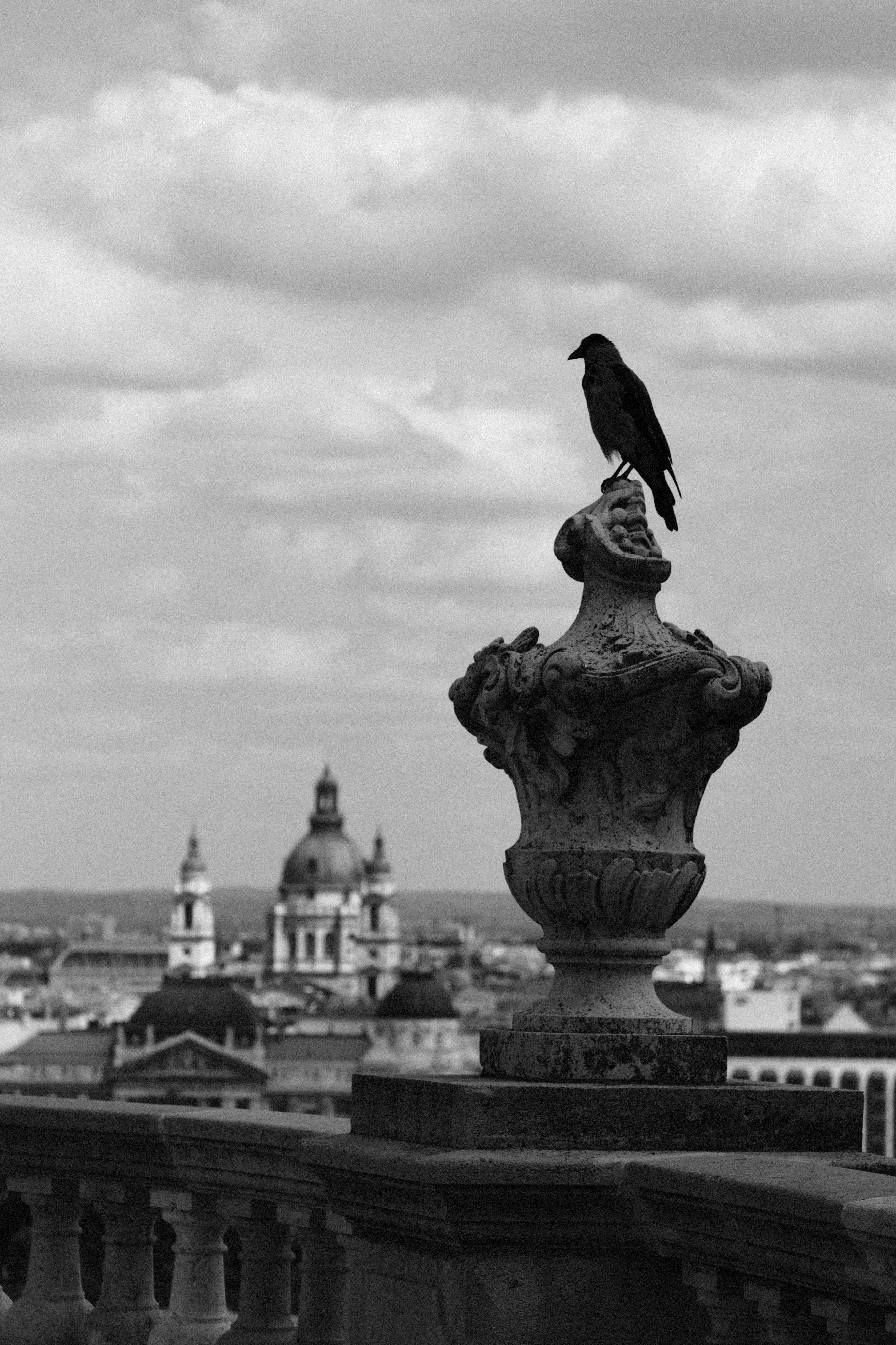 a bird perched on a statue