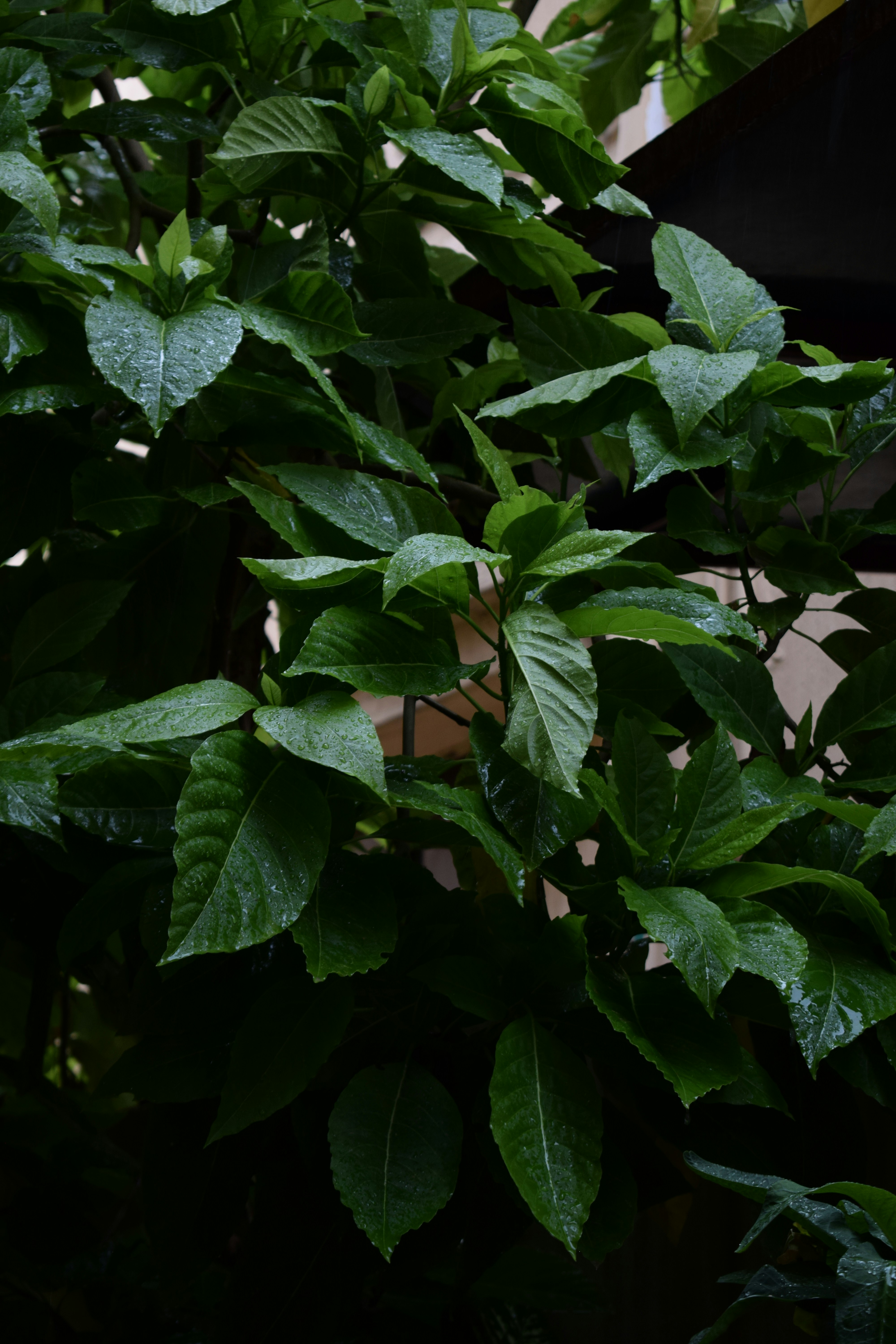 Photo by _saadwaheed