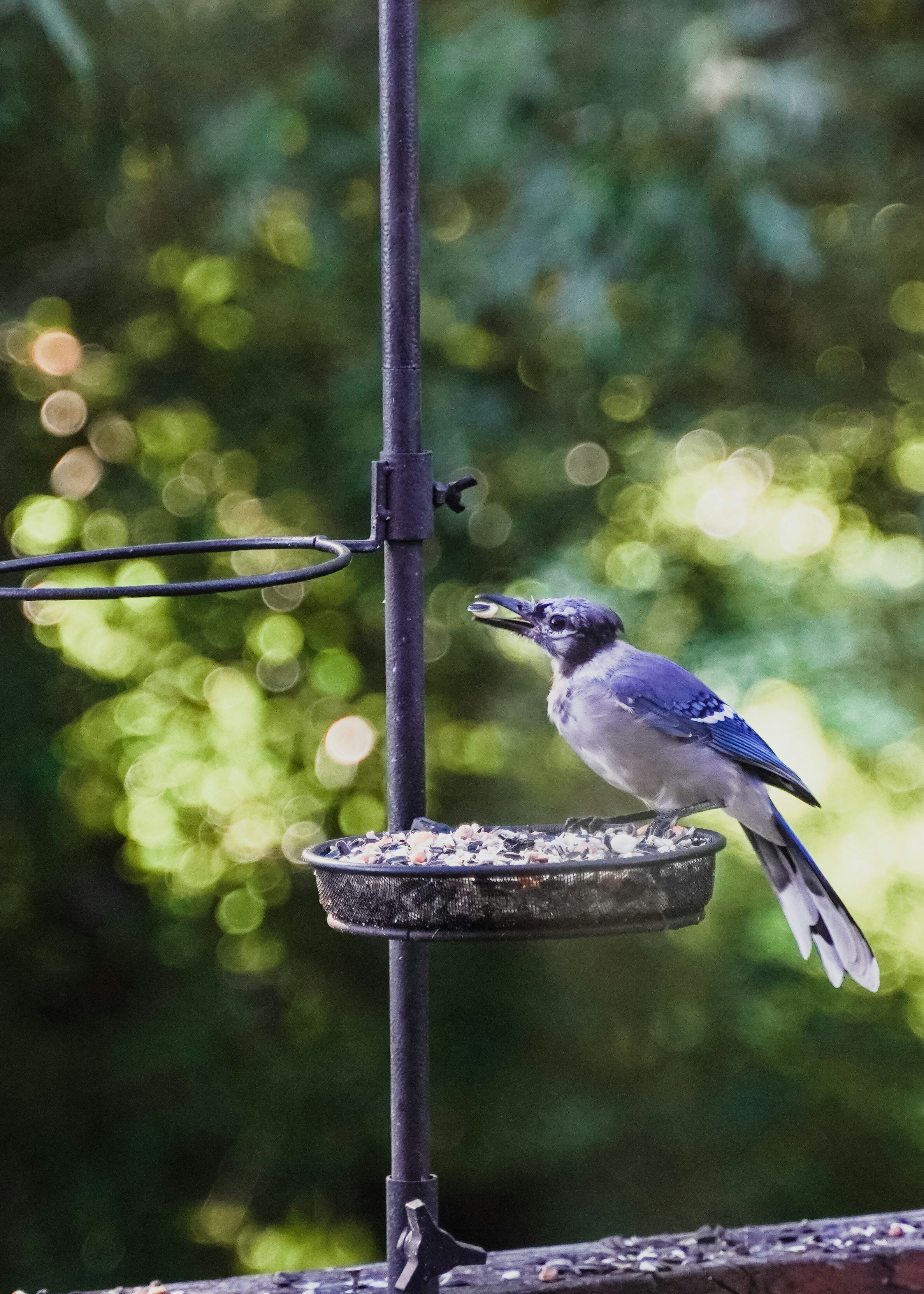 Photo by jamiepolivka