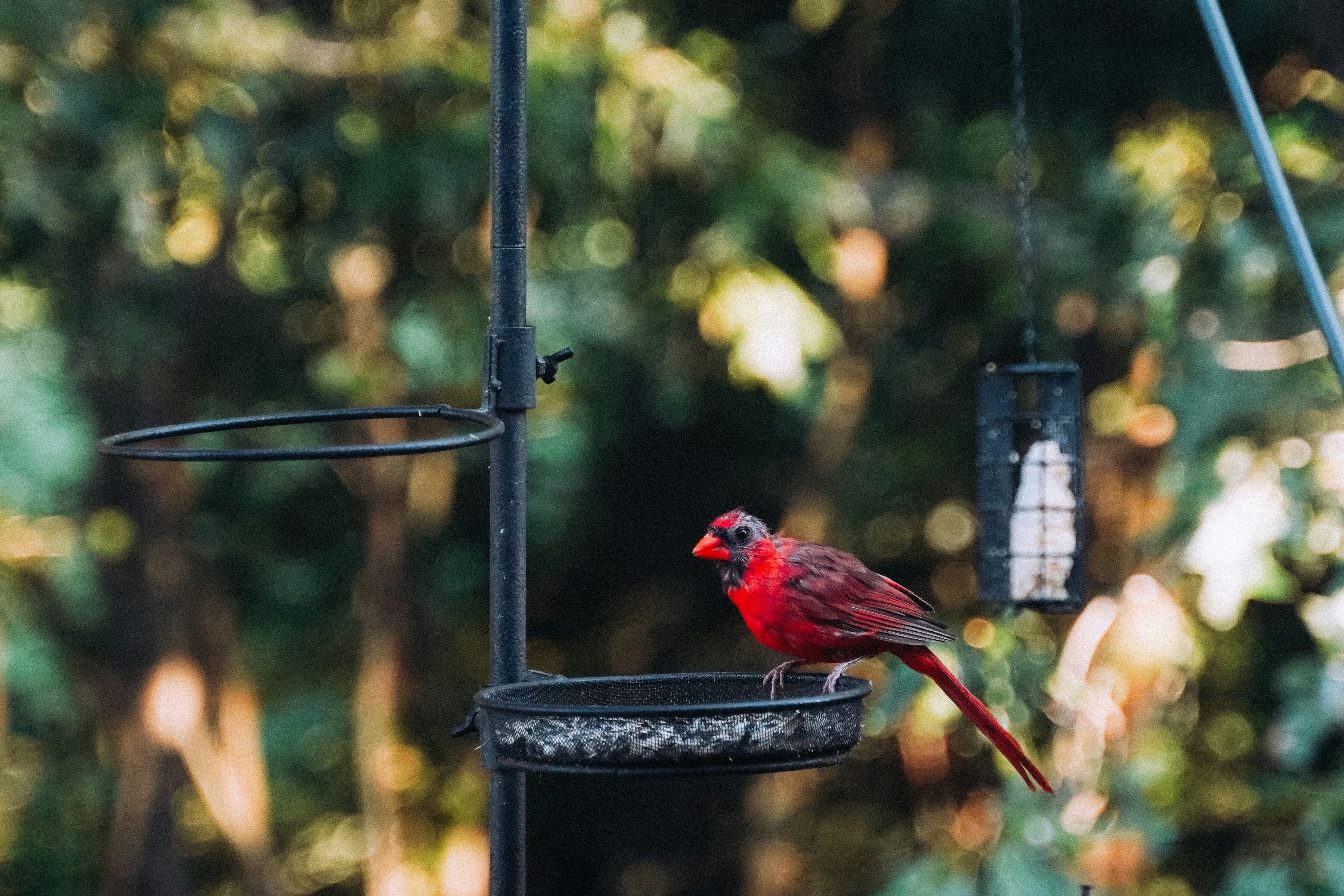 Photo by jamiepolivka