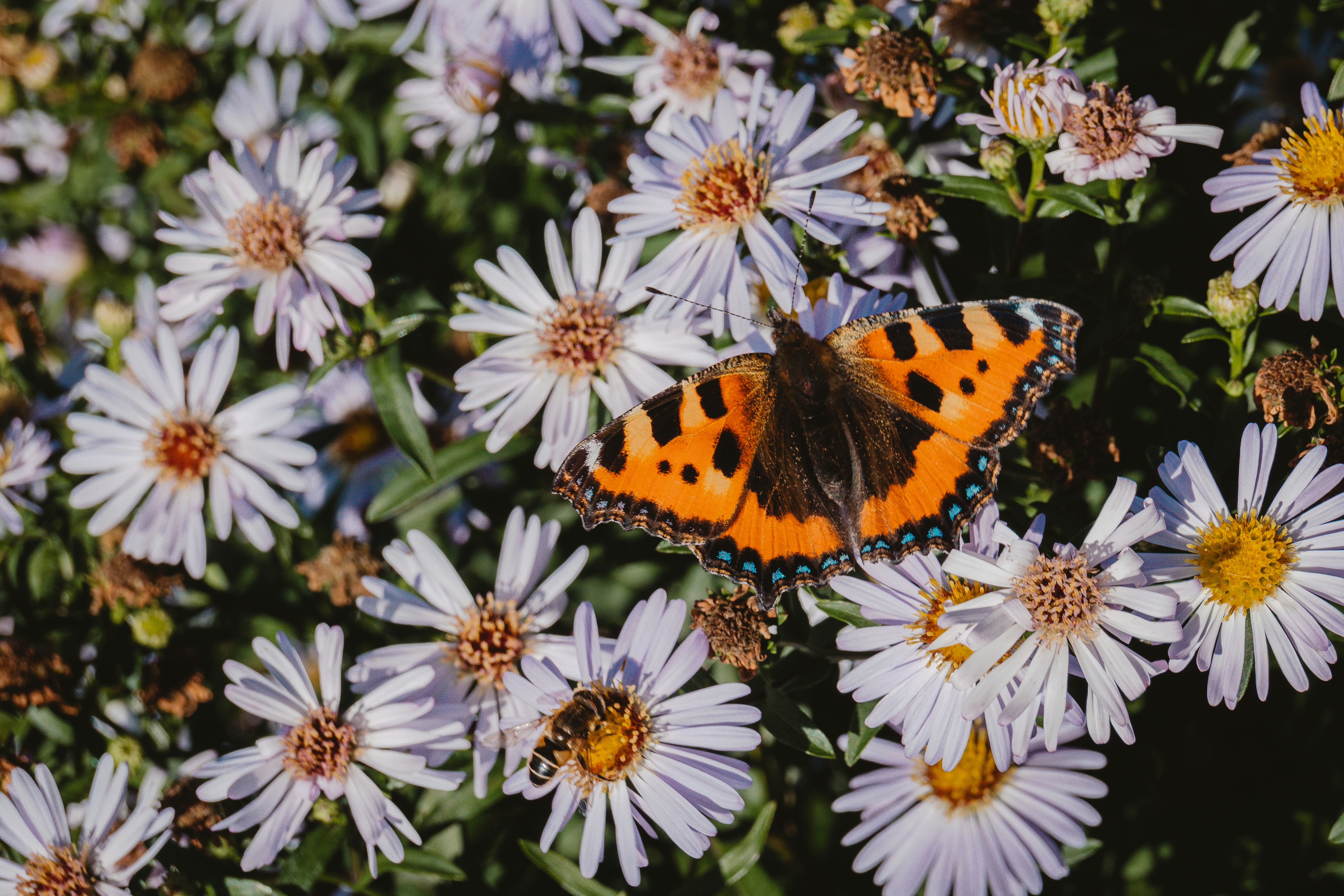 Photo by teddywithfilm