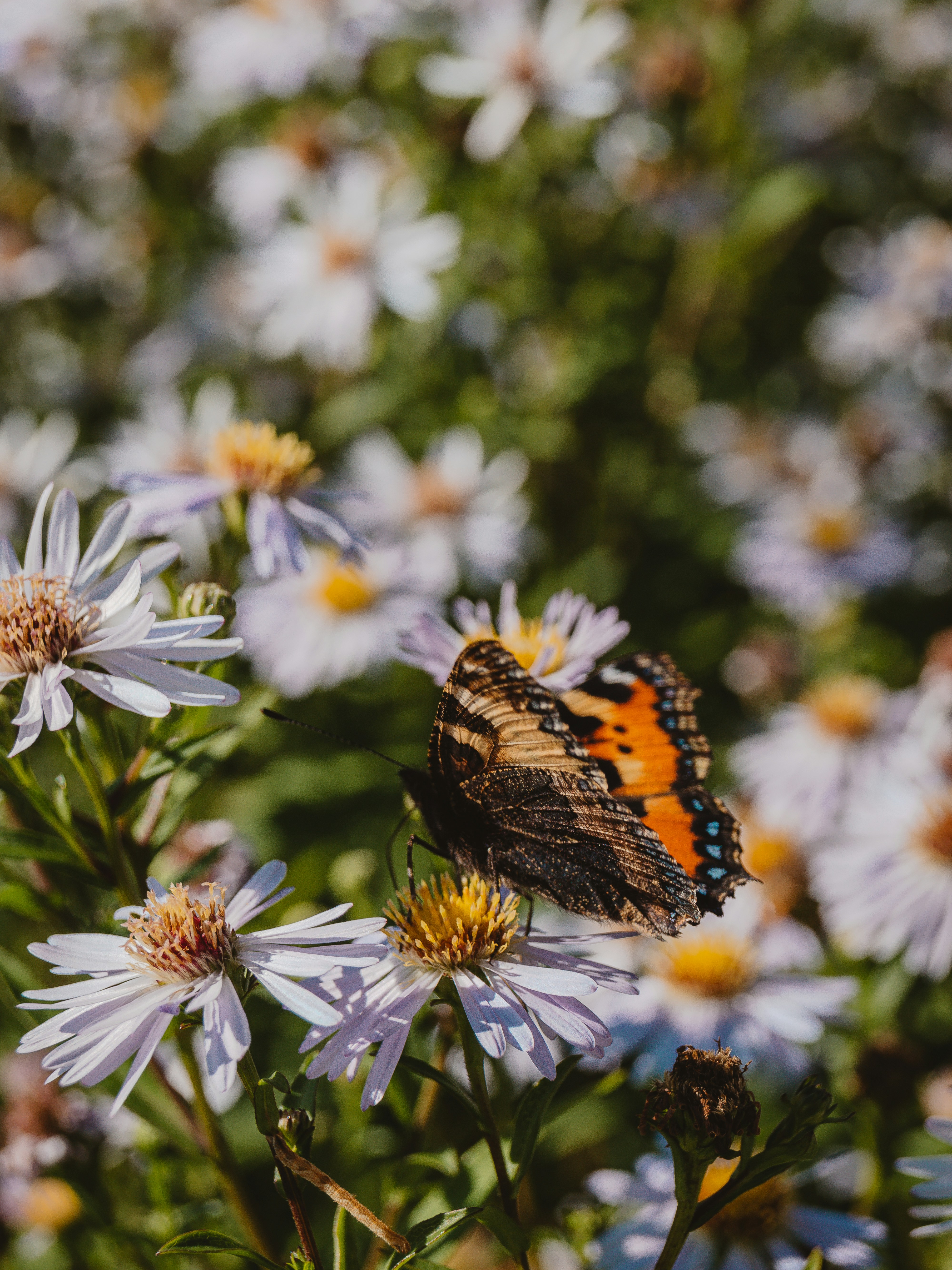 Photo by teddywithfilm