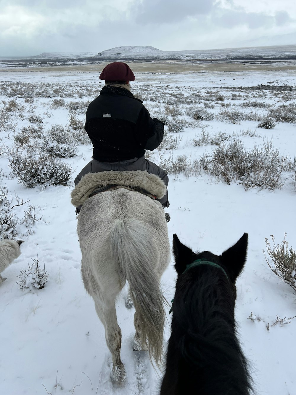 a person riding a horse in the snow