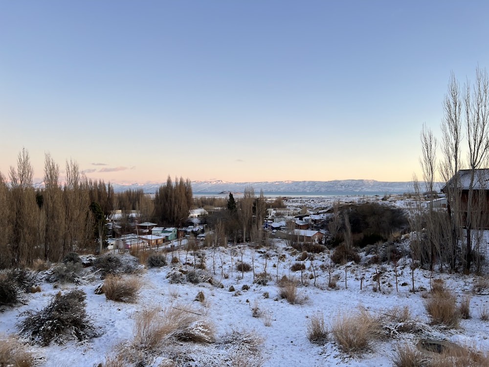 a snowy landscape with trees and buildings