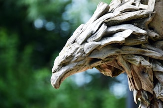 Close-up of a finely carved native American eagle sculpture made from rich beetle kill pine wood.