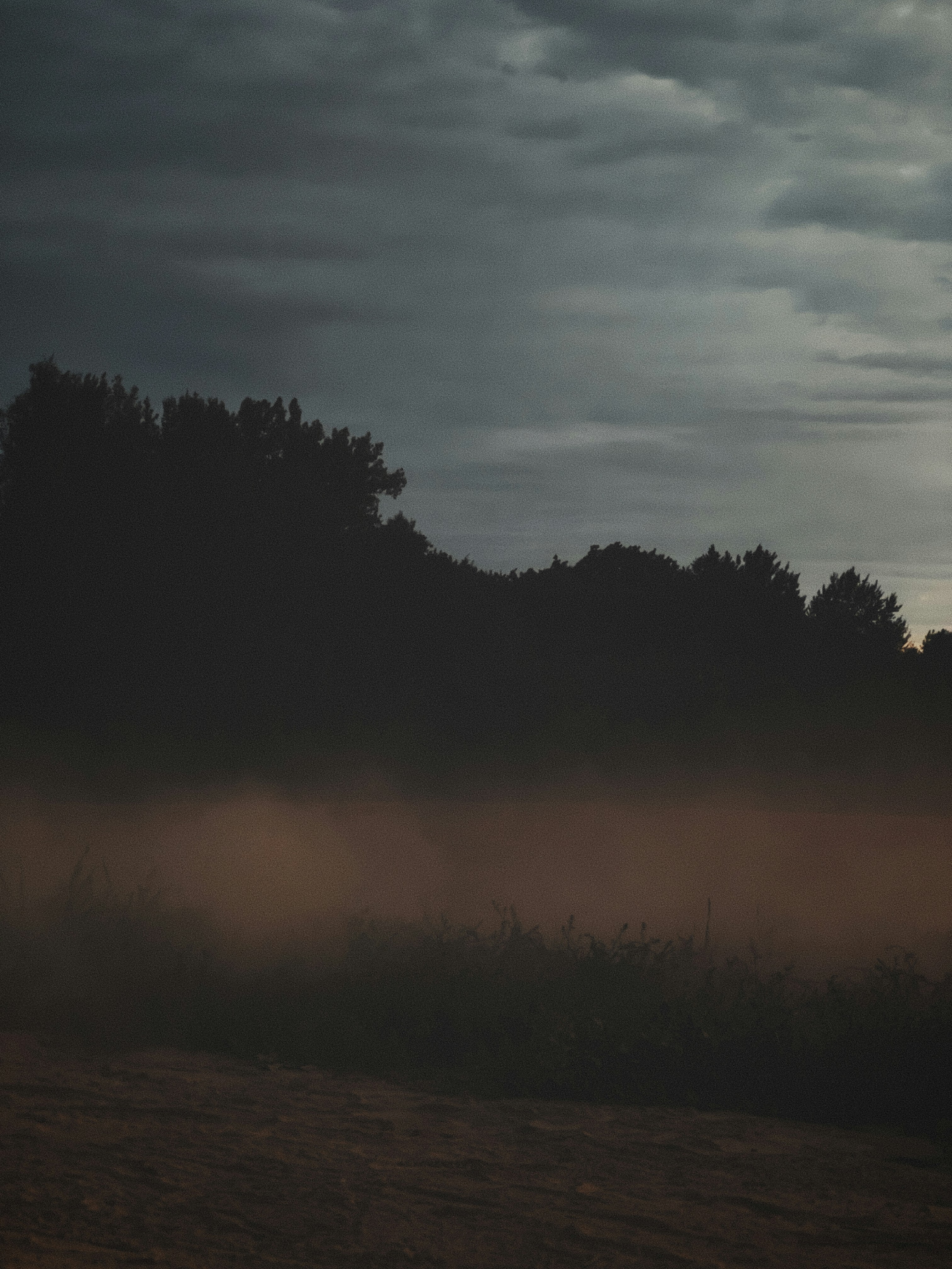 Photo by justwaclaw