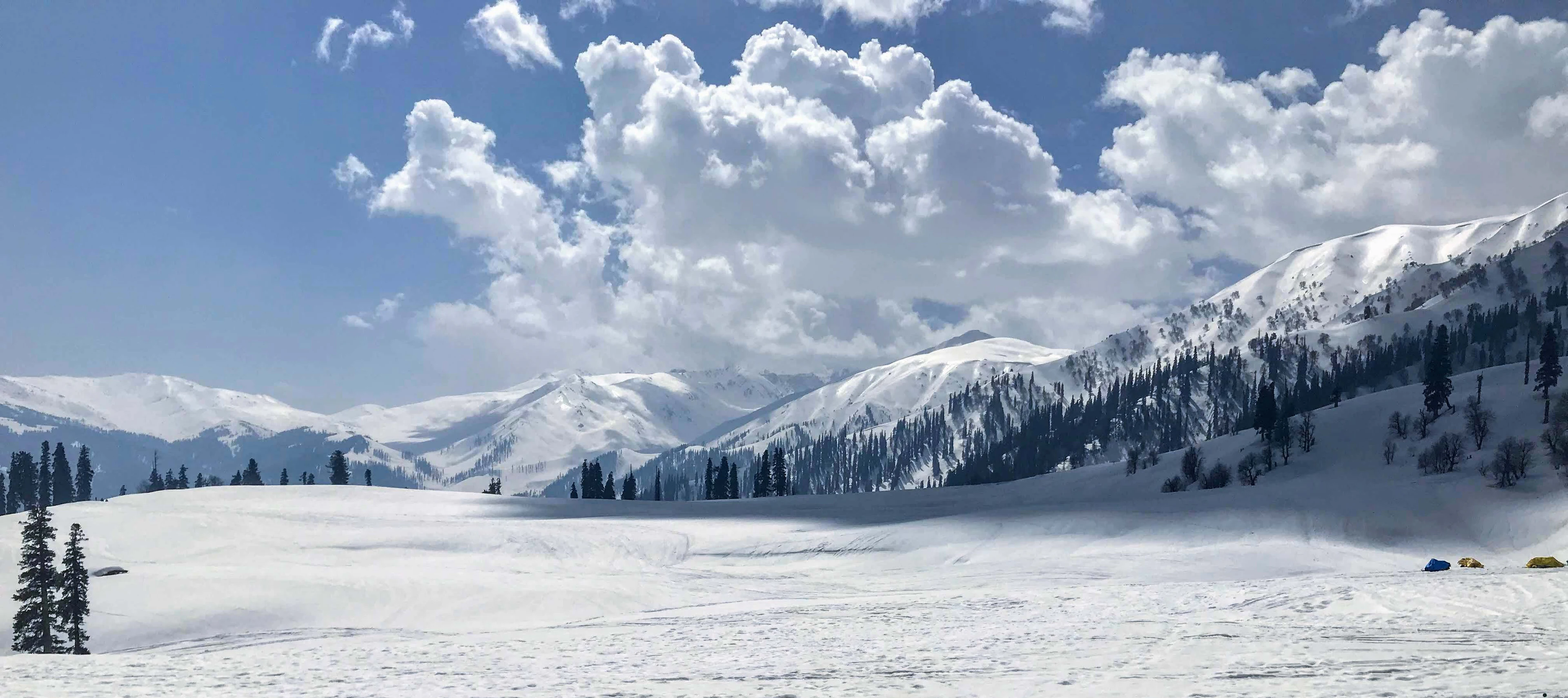 Snowy meadow with pine trees and mountains in Gulmarg