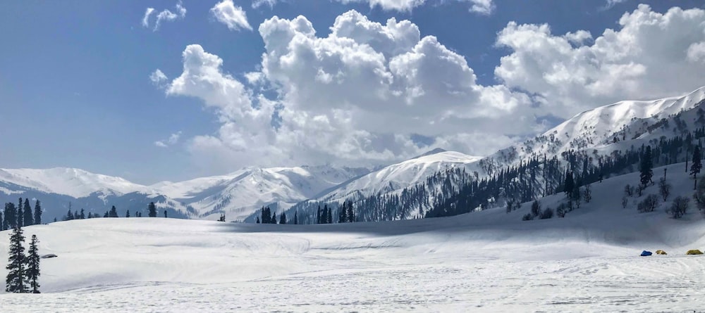 a snowy landscape with trees and mountains