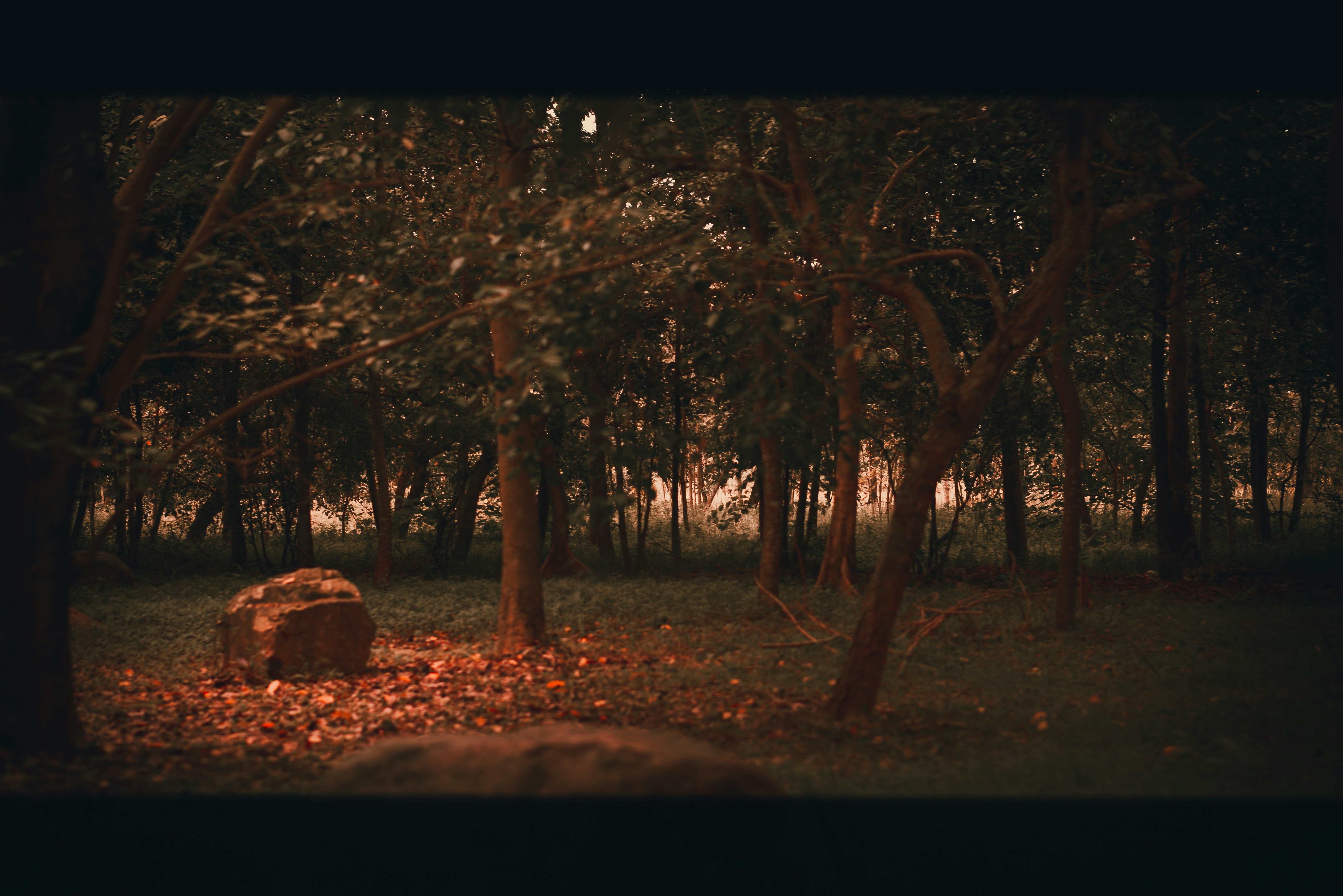 Photo by dying_apricity