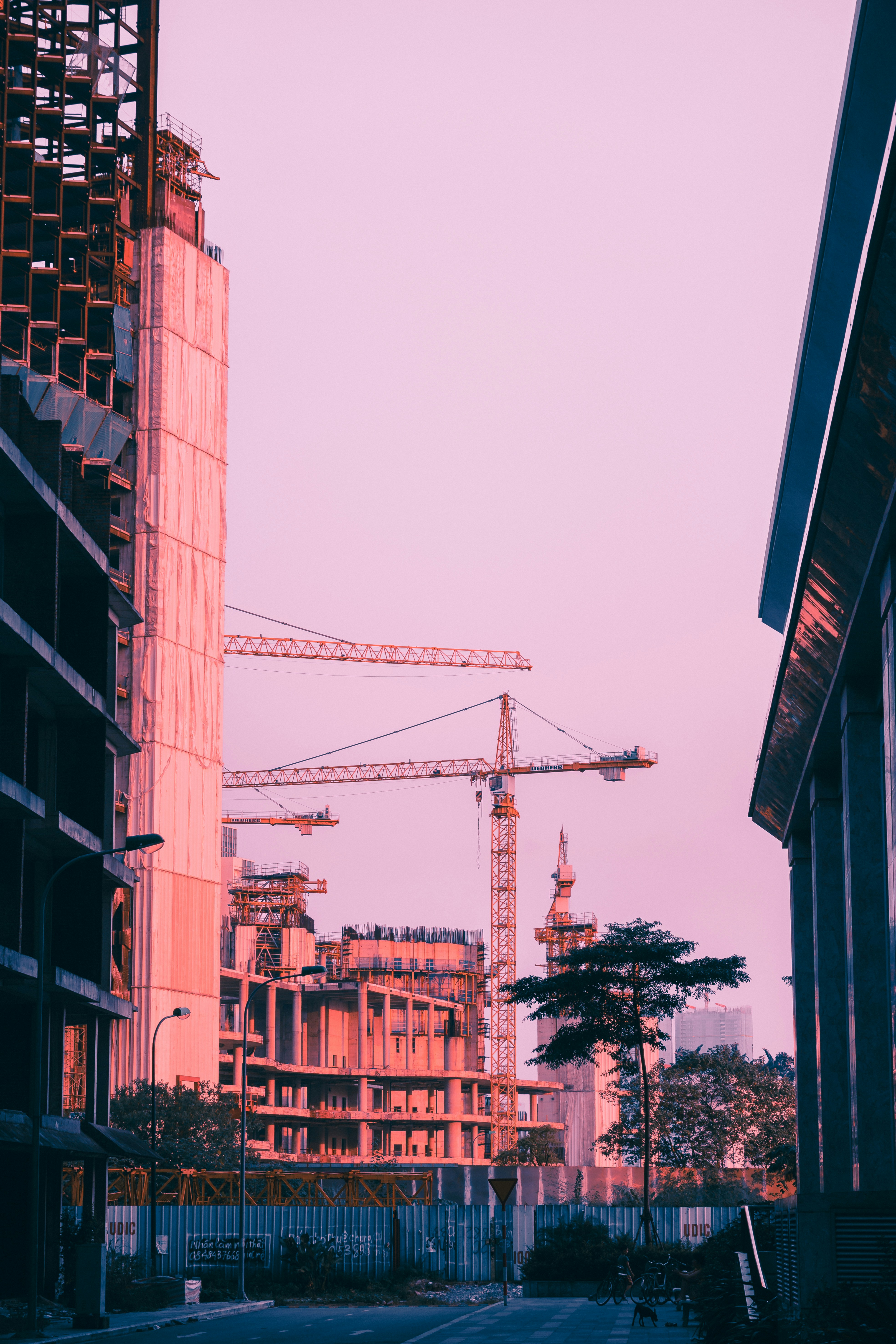 Photo by dying_apricity