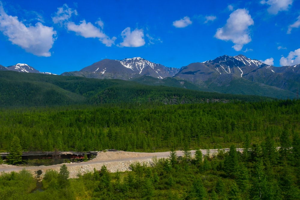 a landscape with trees and mountains in the back