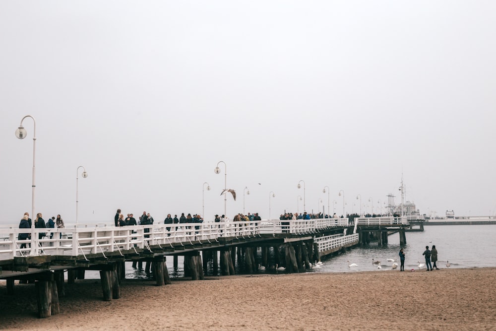 a group of people on a pier