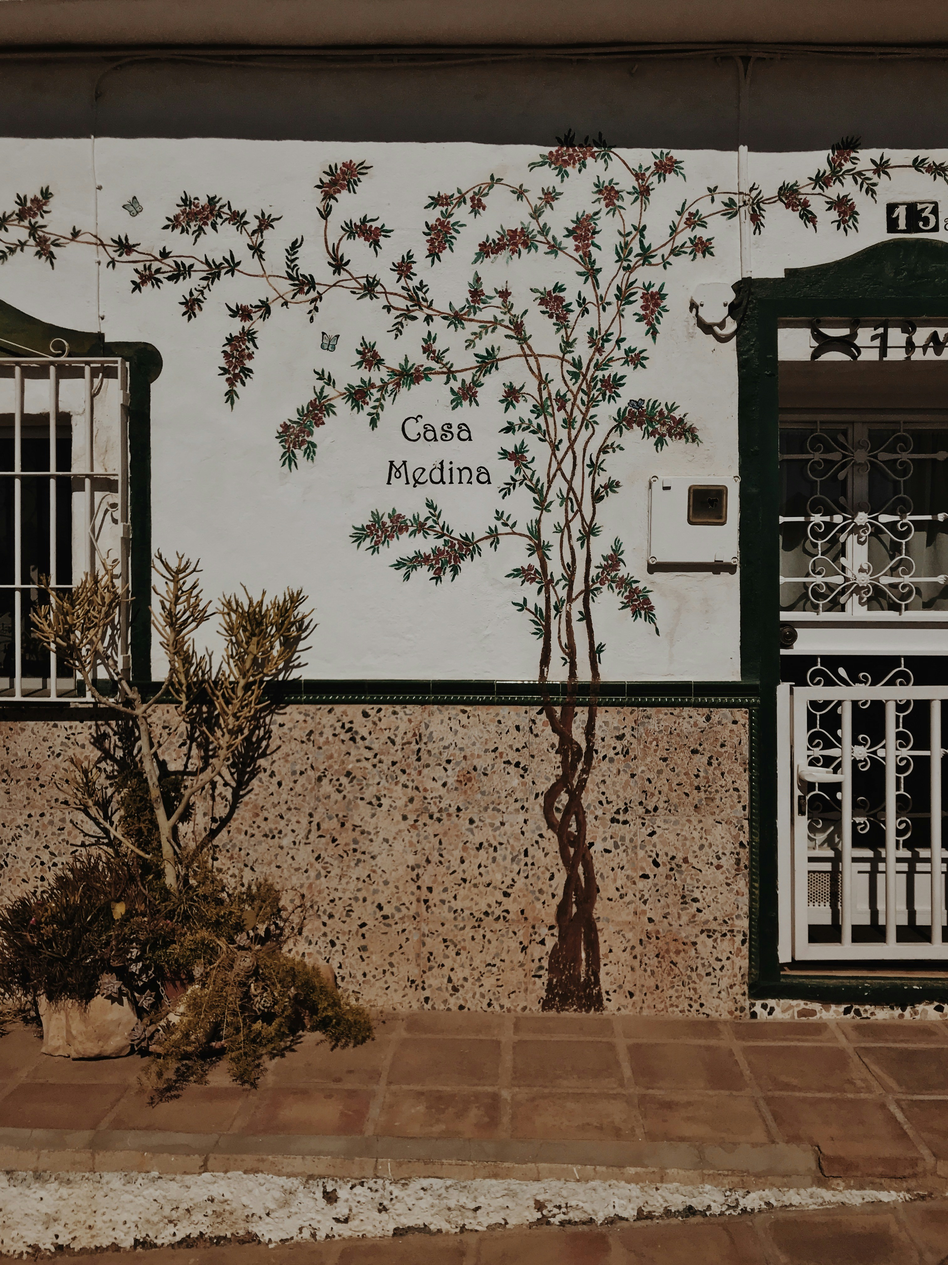 uma árvore em frente a um edifício