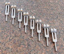 a group of white and grey objects