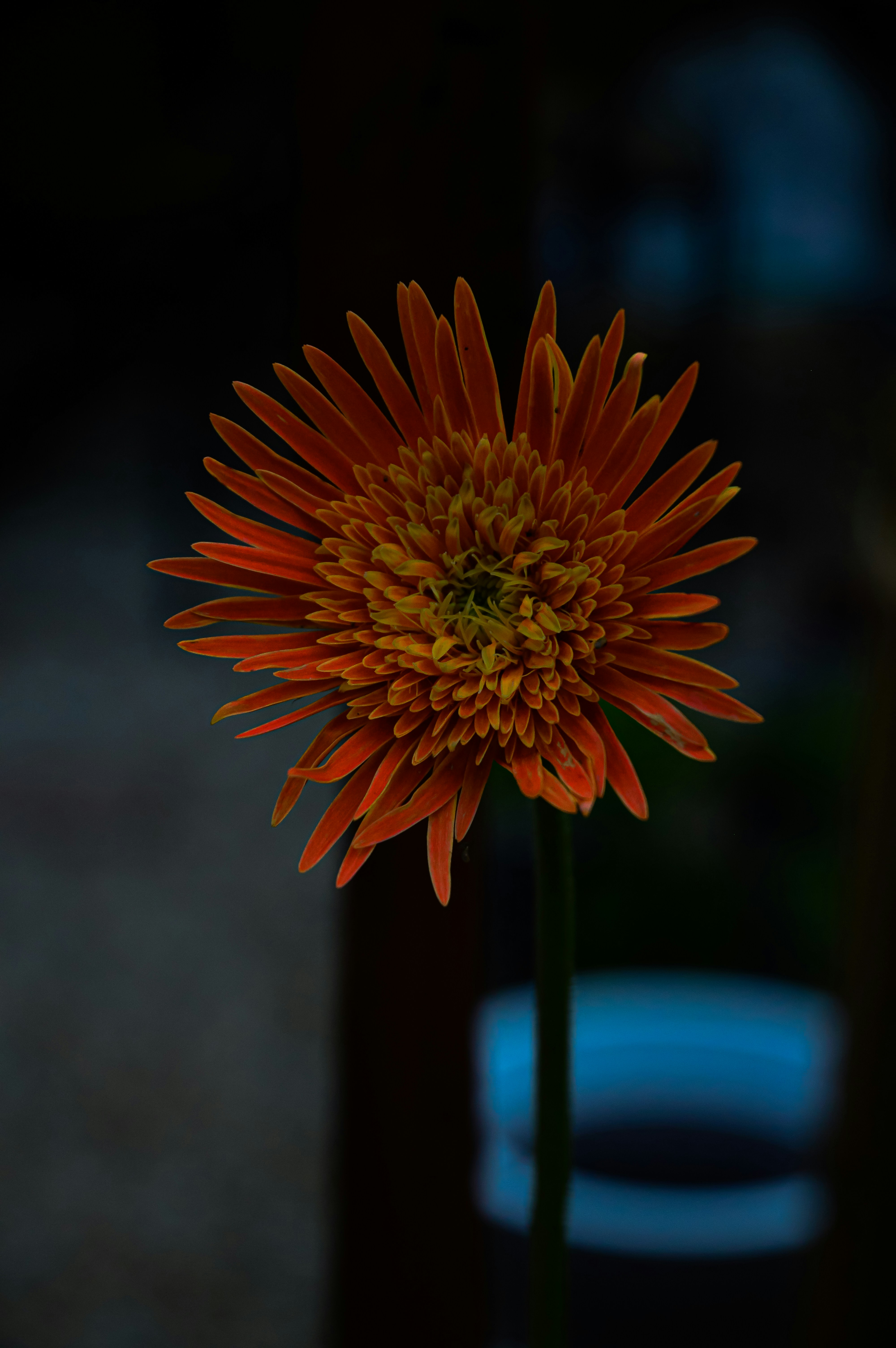Photo by cliffer14