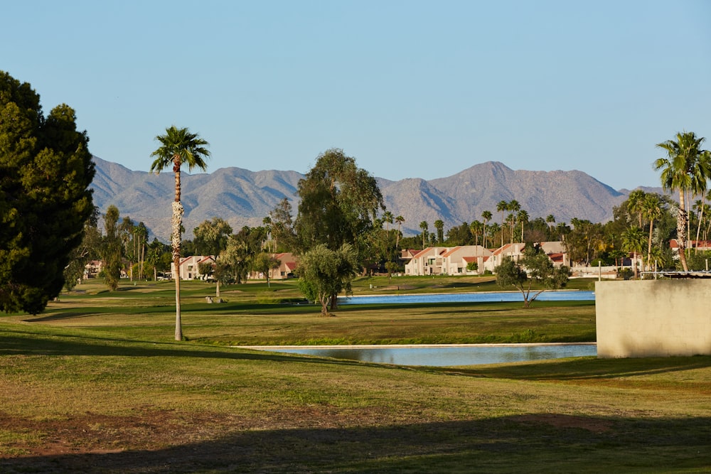 a golf course with trees and grass