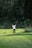 a person swinging a golf club