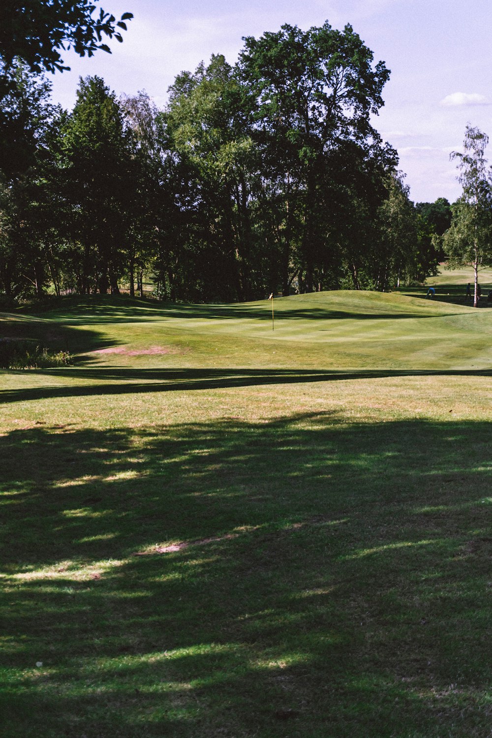 a grassy field with trees in the background