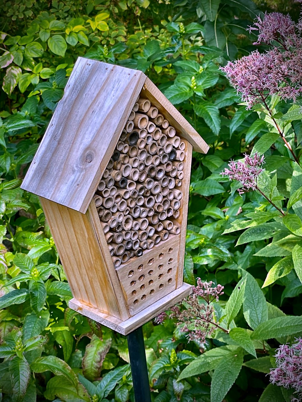 a birdhouse in a garden