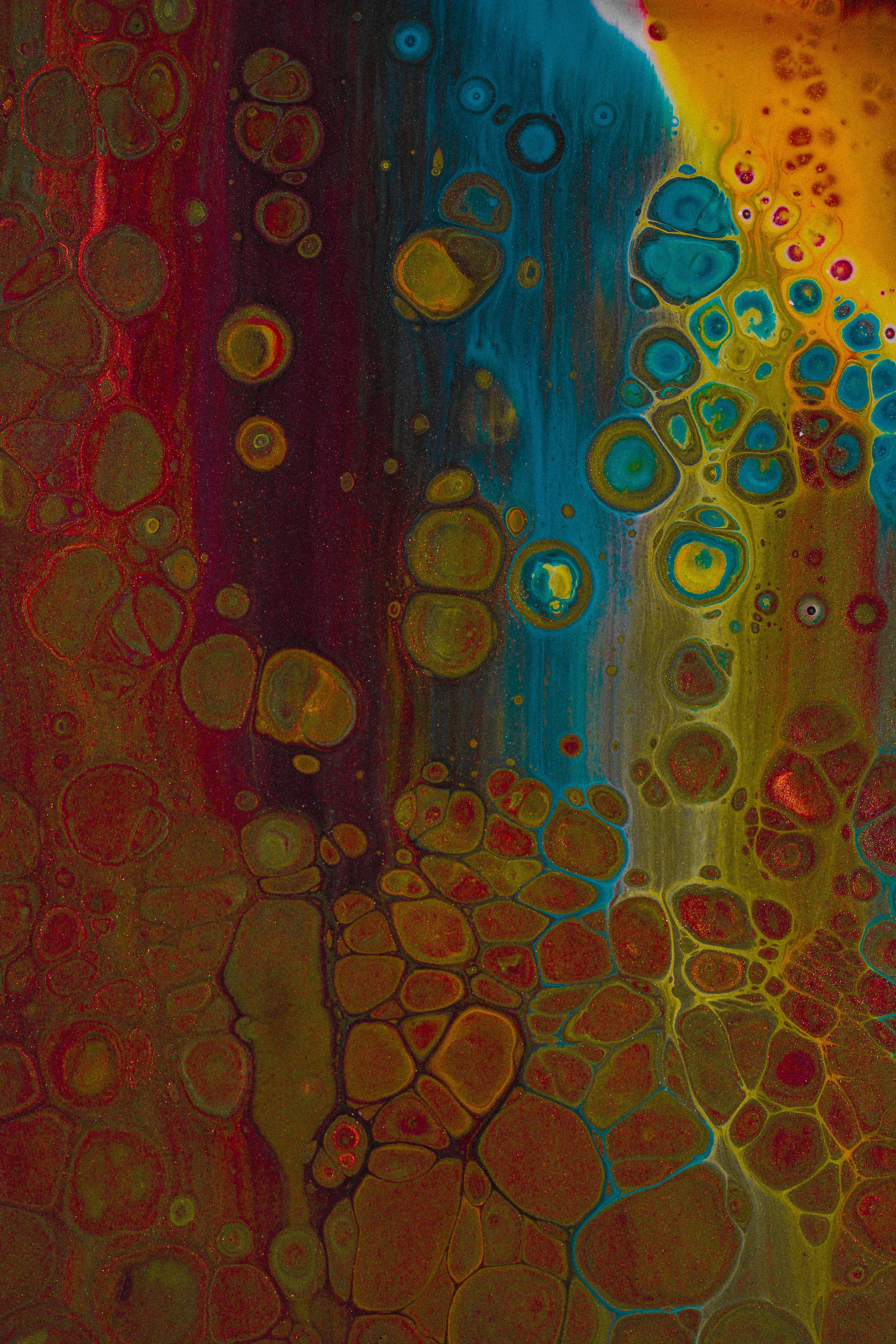 Photo by susan_wilkinson