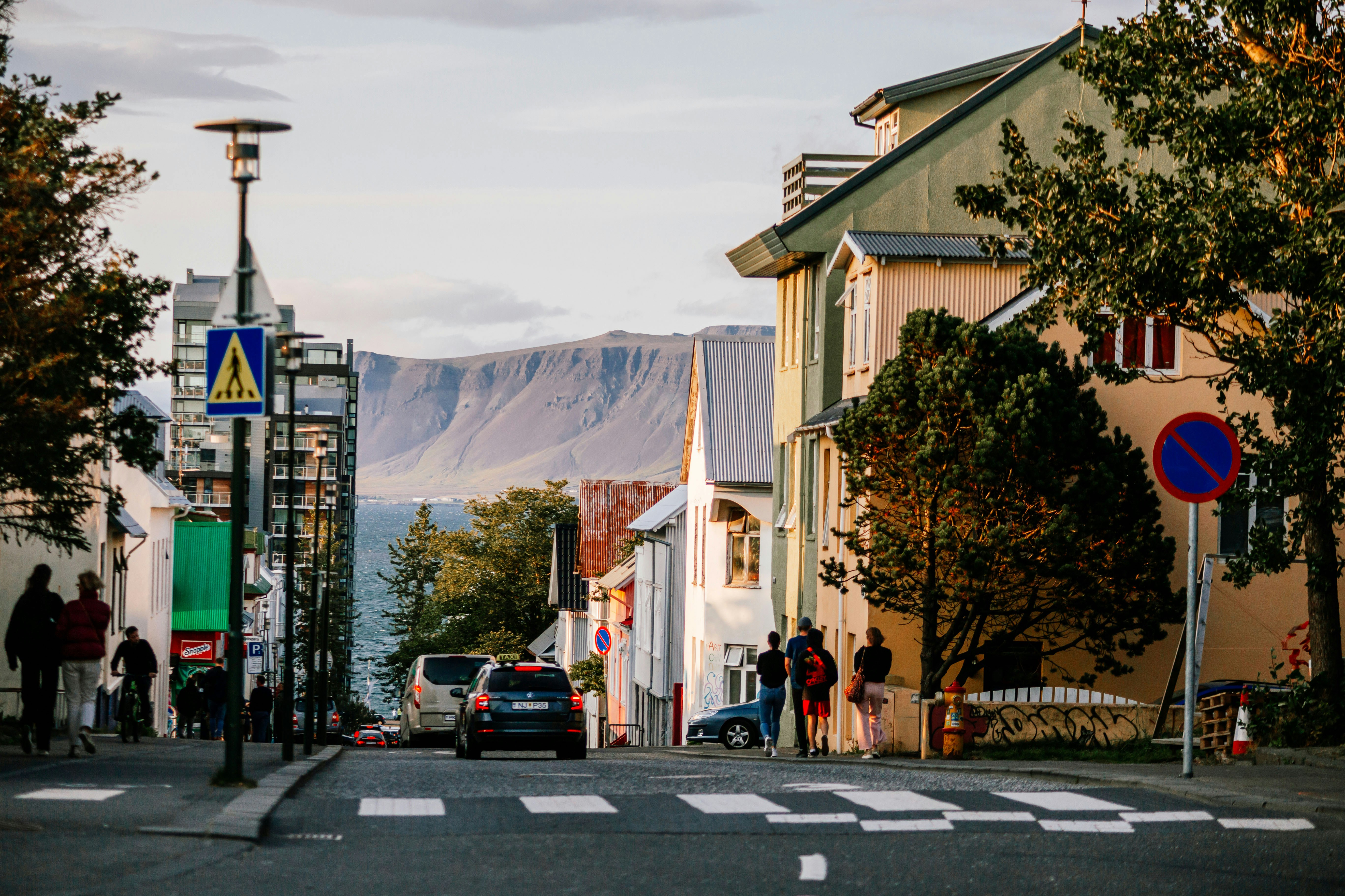 trip gallery picture