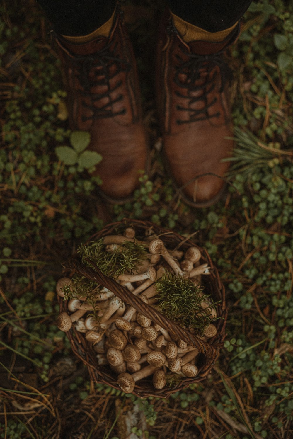a person's feet in boots with pine cones on them