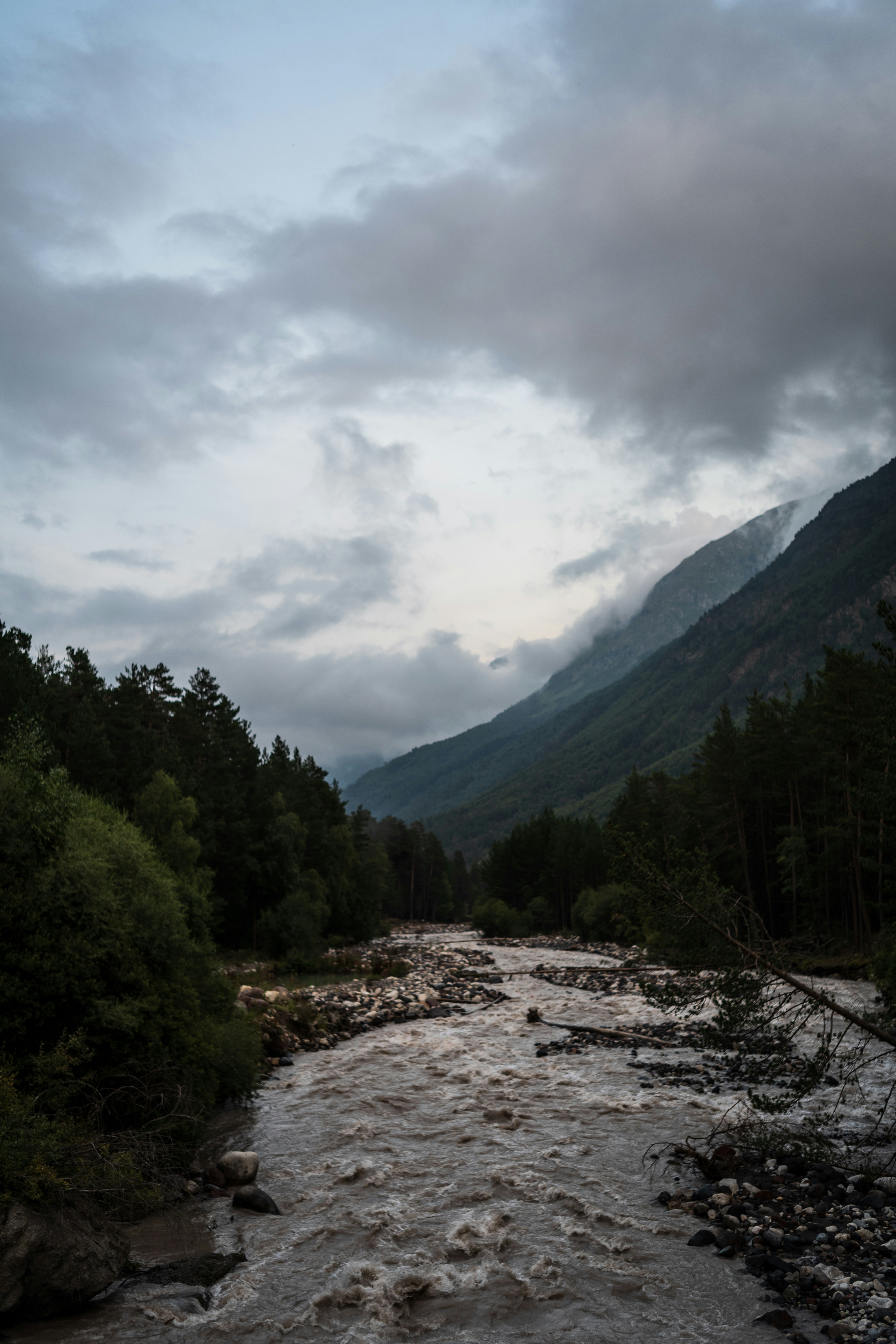 Photo by prokhorov