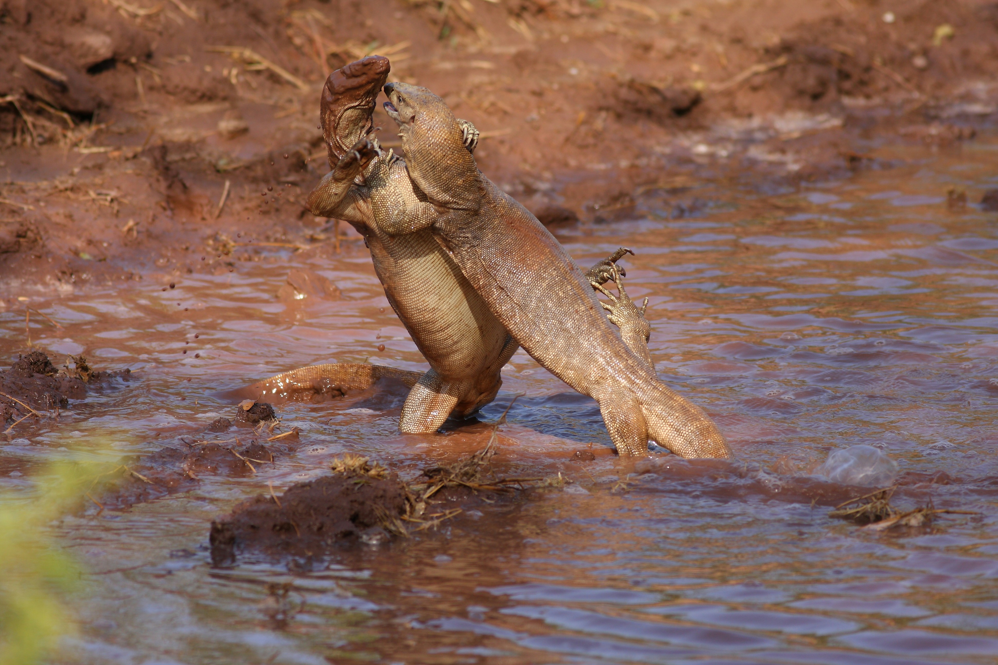 Photo by adeel1gujar2326