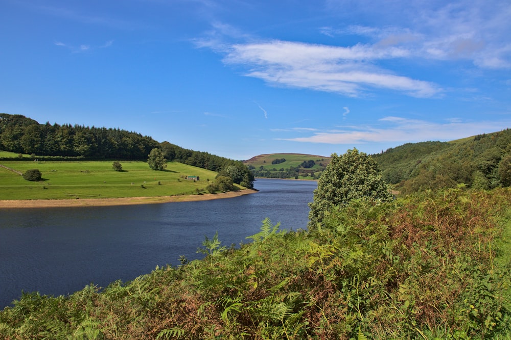 a river with grass and trees around it