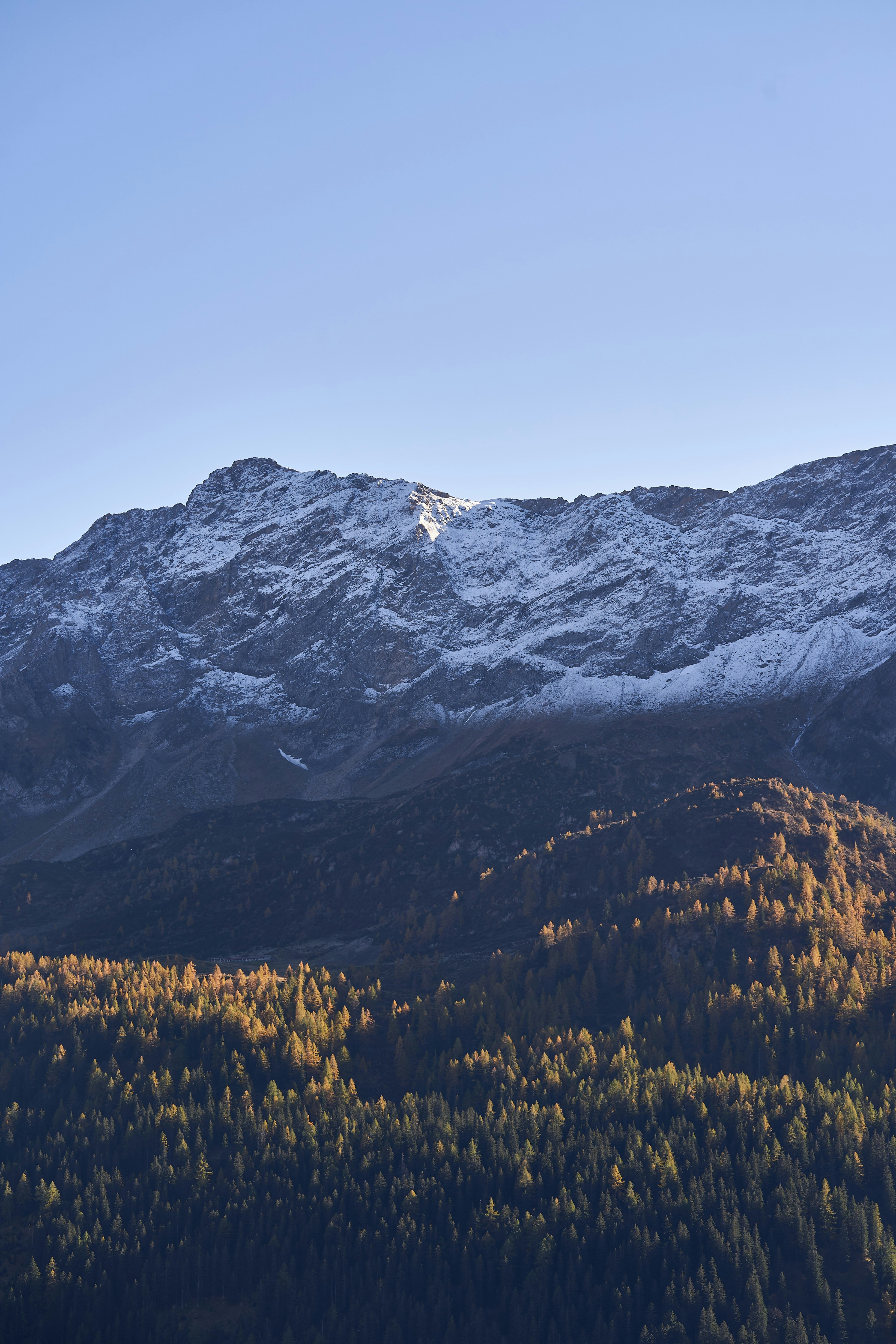 Photo by wolfgang_hasselmann