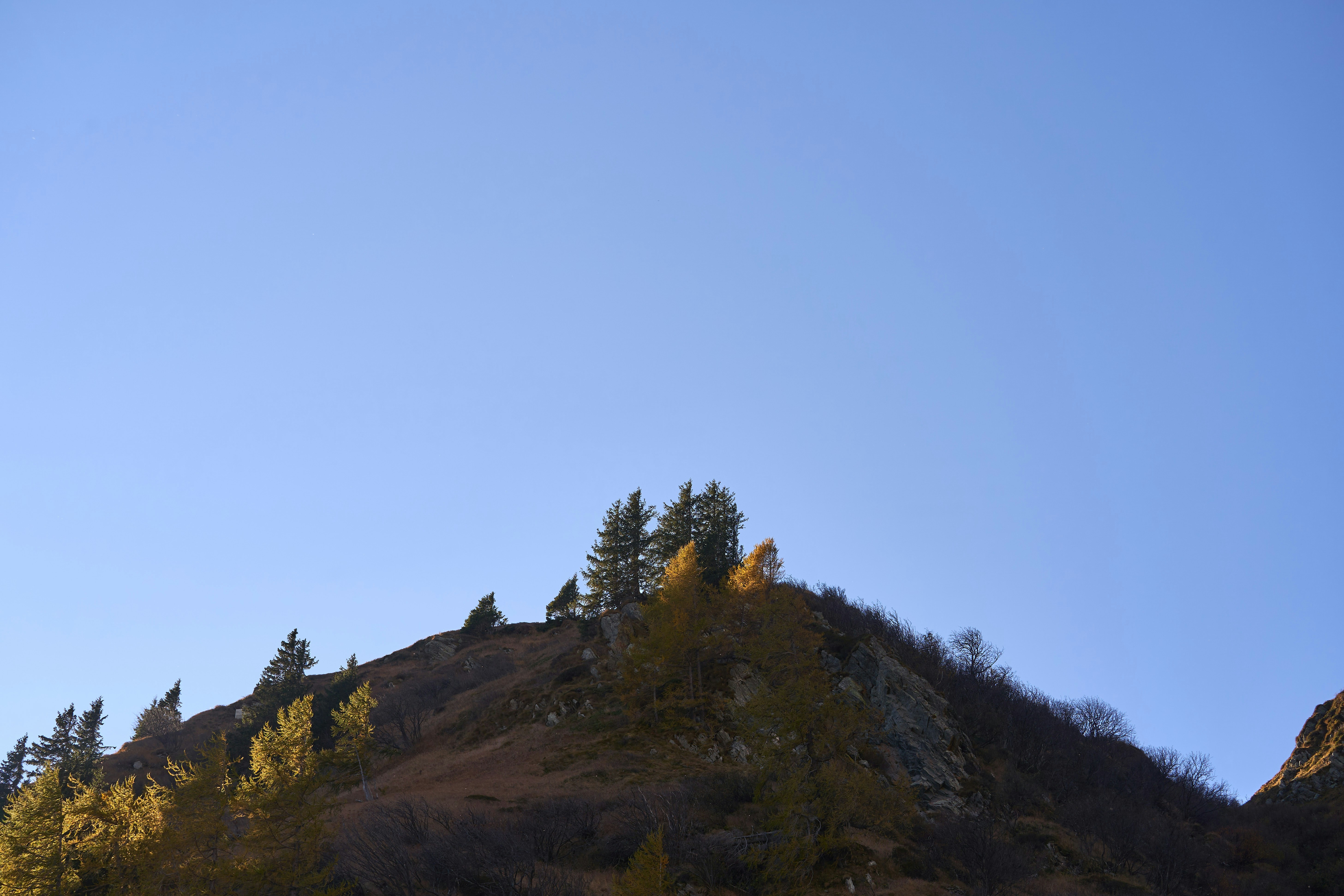 Photo by wolfgang_hasselmann