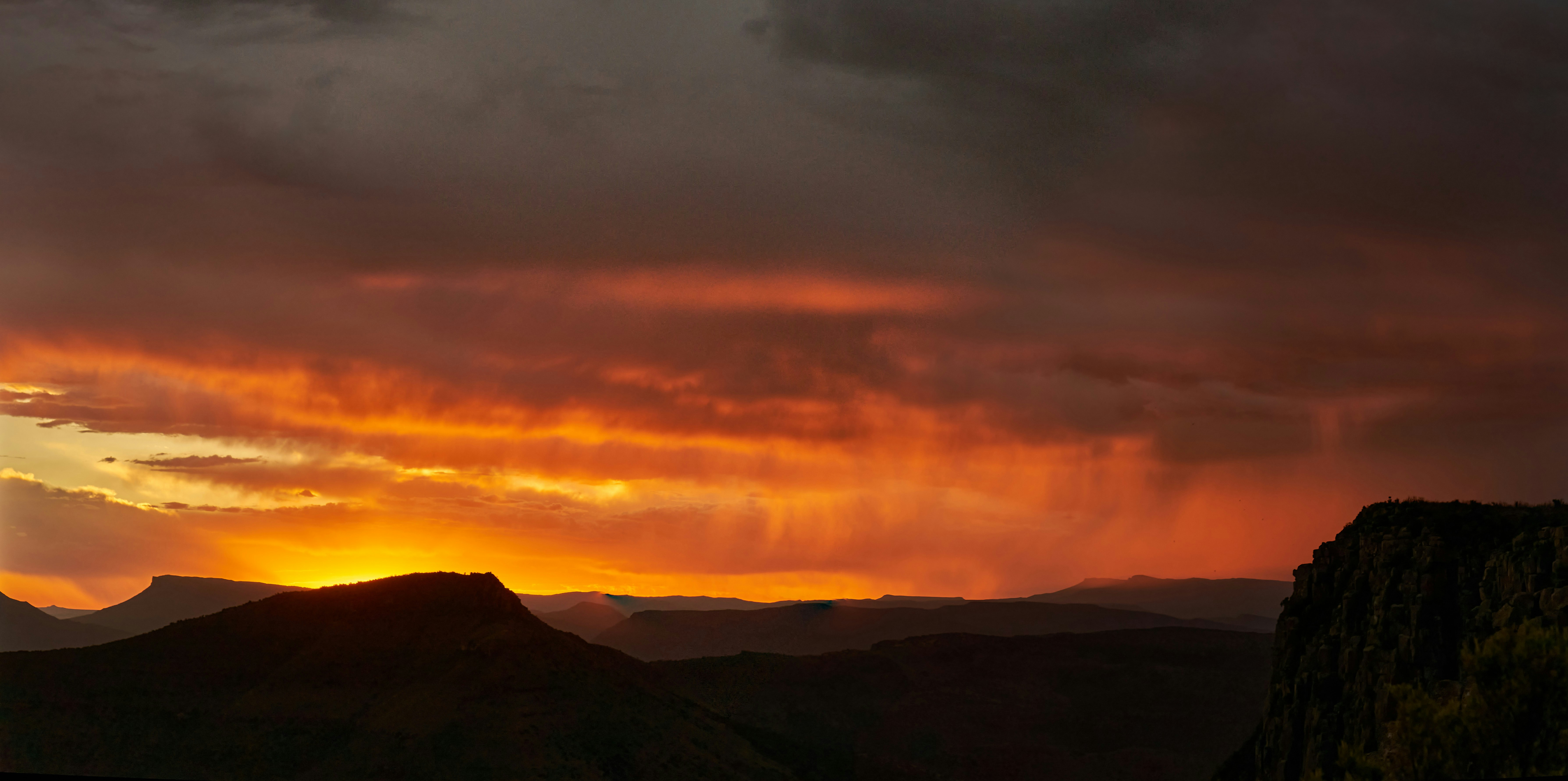 Photo by wolfgang_hasselmann