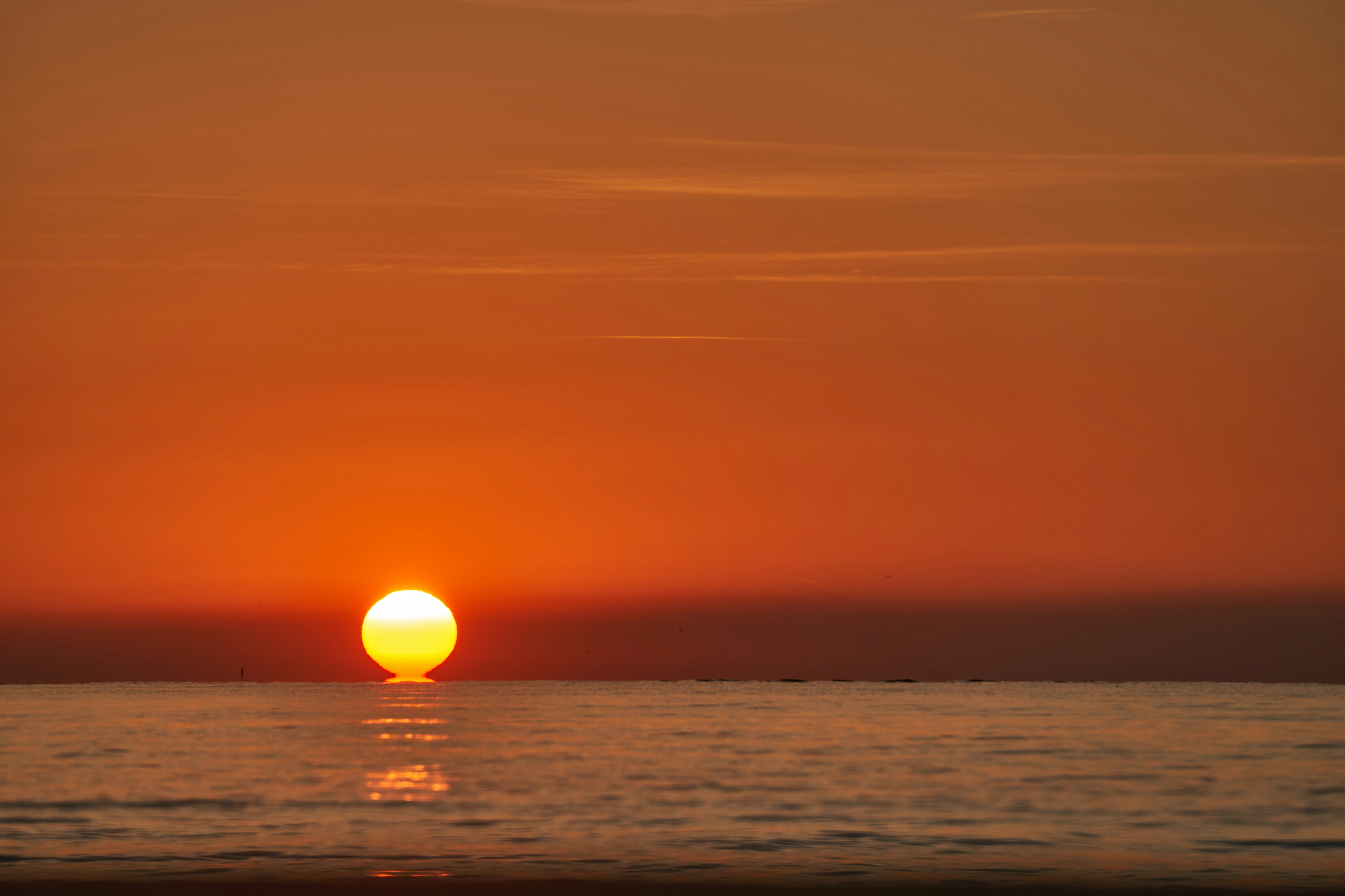 Photo by wolfgang_hasselmann